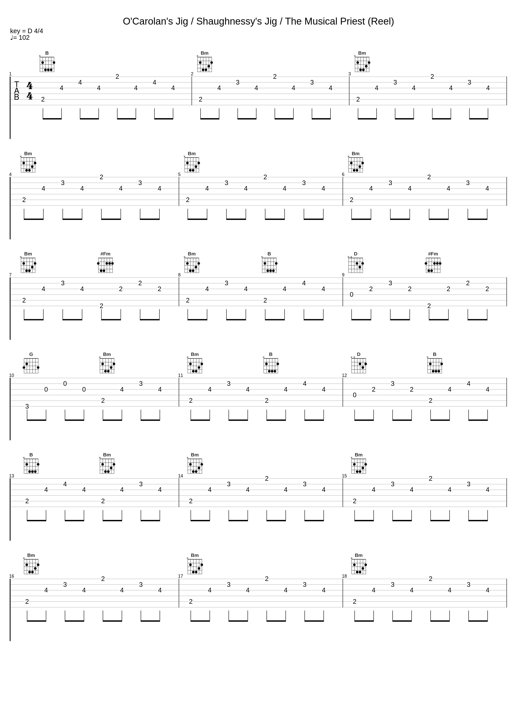 O'Carolan's Jig / Shaughnessy's Jig / The Musical Priest (Reel)_The Roses_1