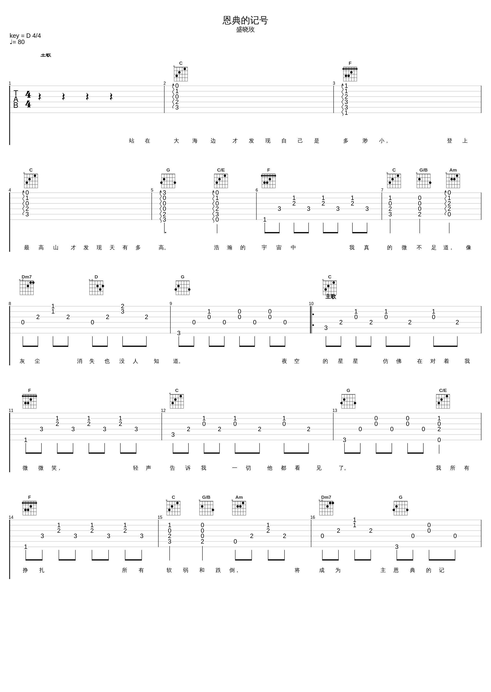 恩典的记号_盛晓玫_1