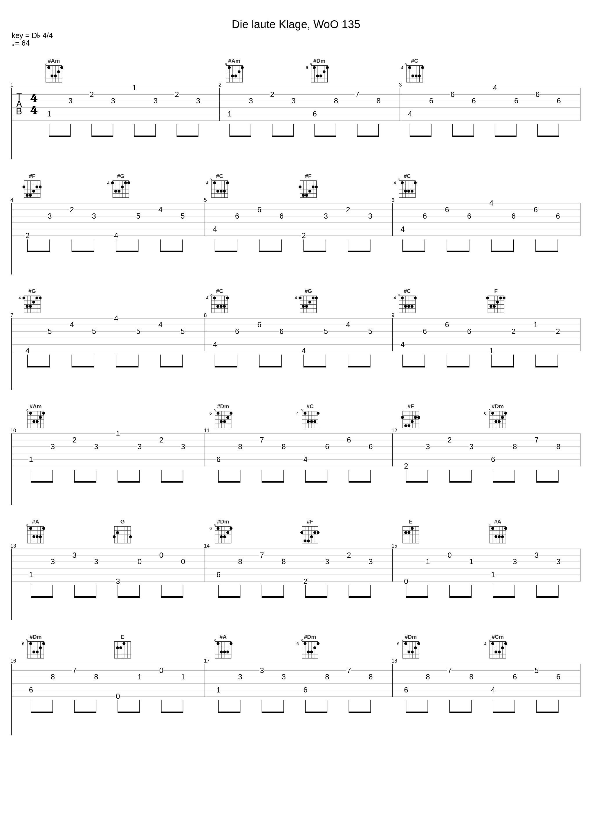 Die laute Klage, WoO 135_Iris Vermillion,Peter Stamm_1