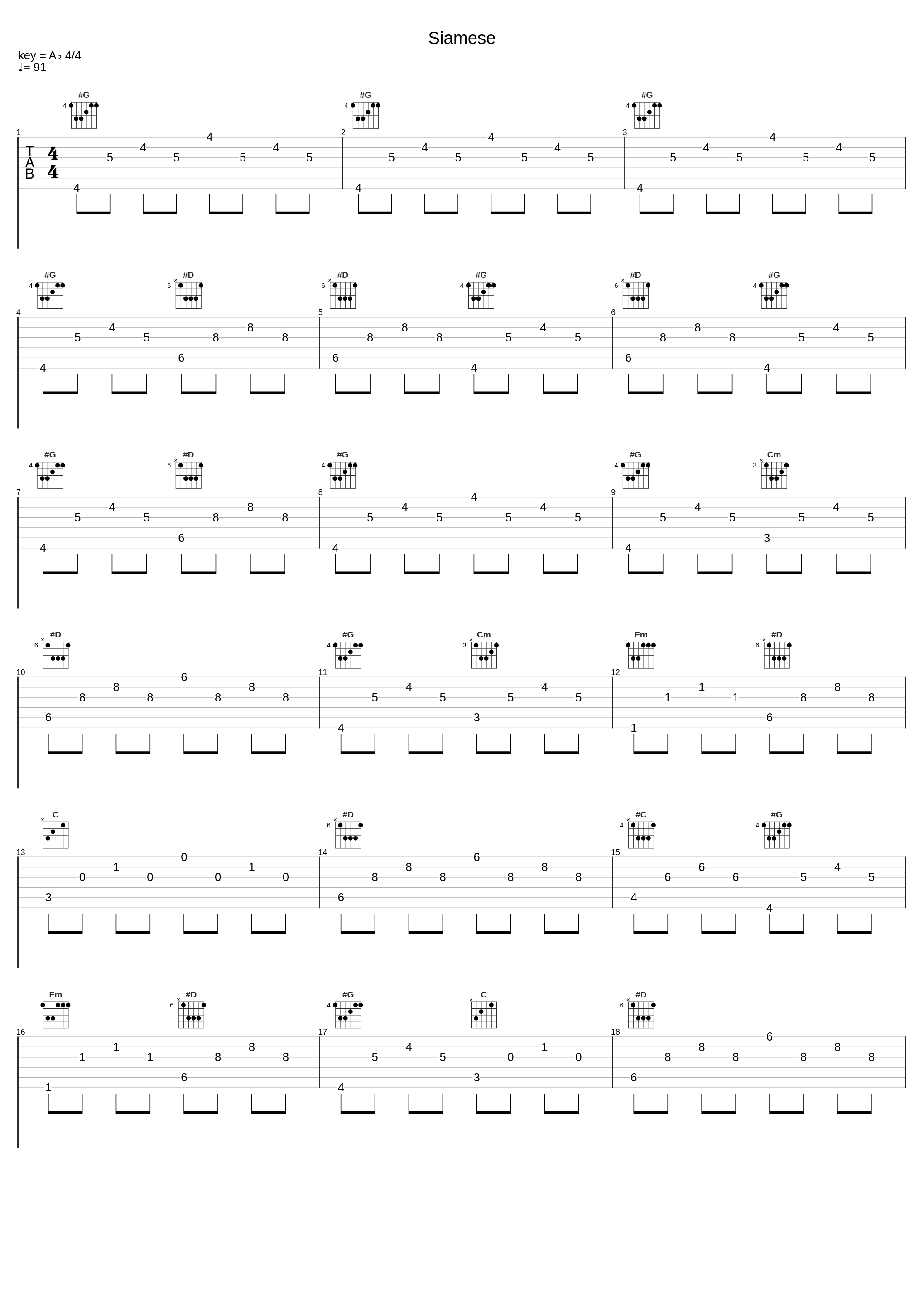 Siamese_Motor Ace_1