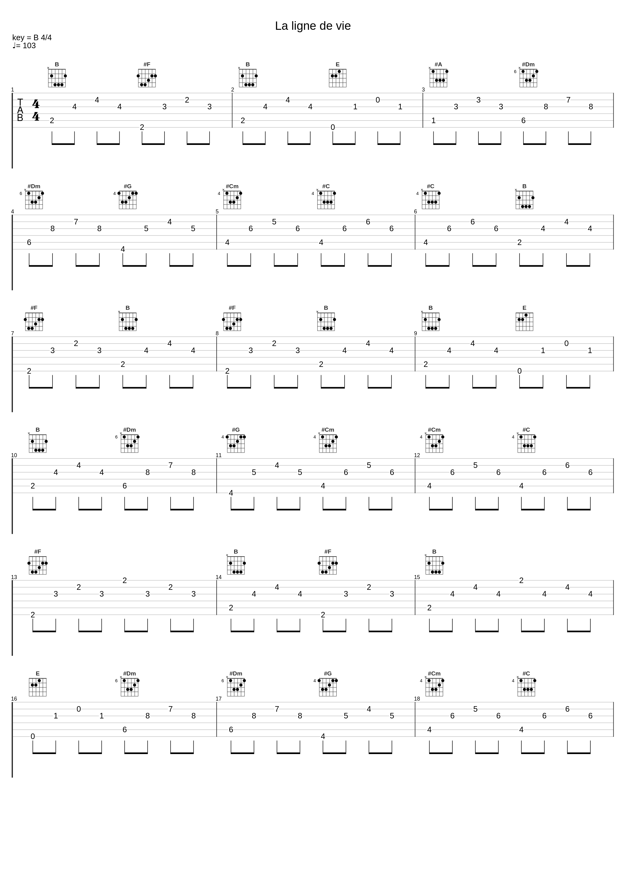 La ligne de vie_Yves Duteil_1