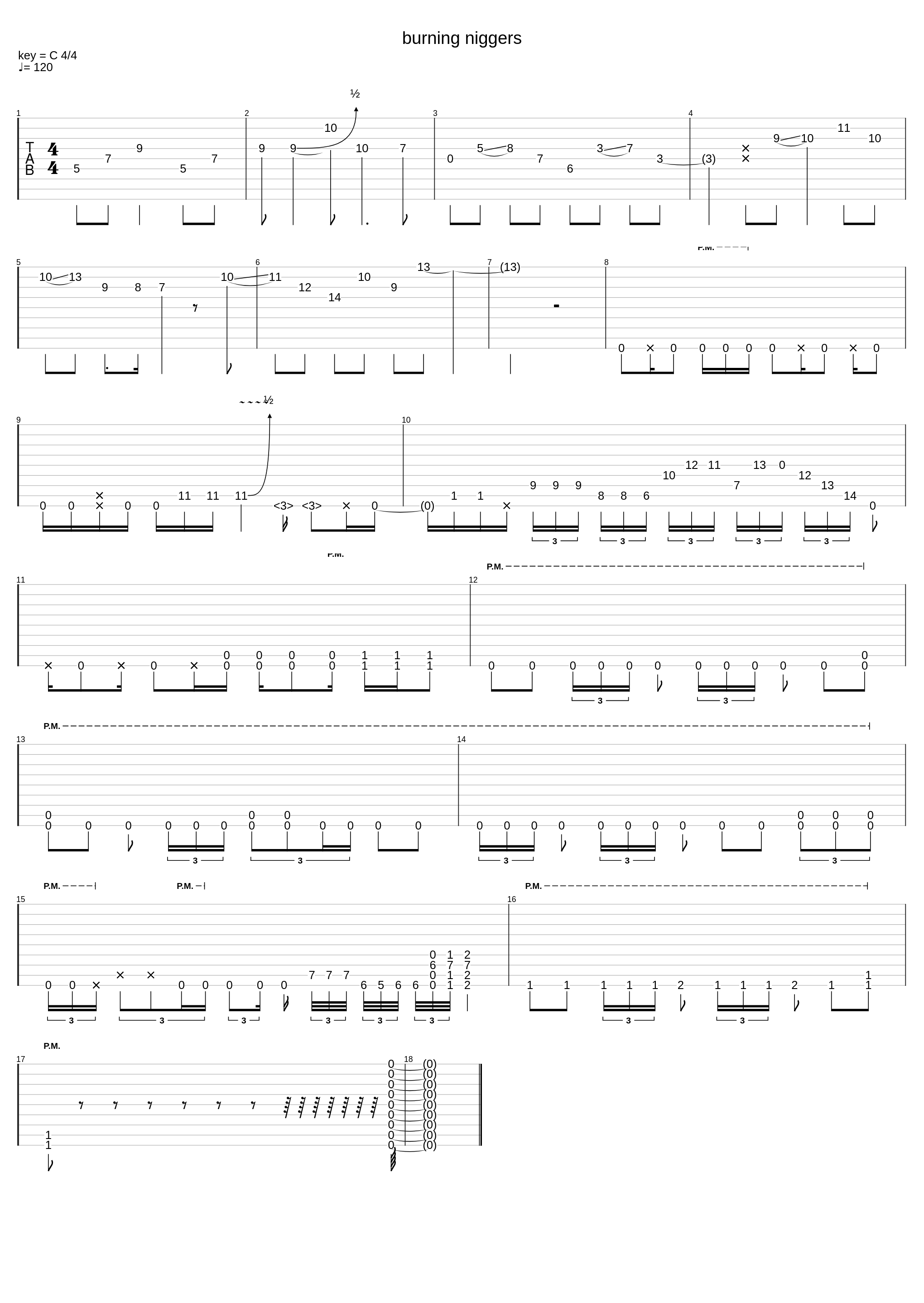 burning niggers_I Hate Niggers_1