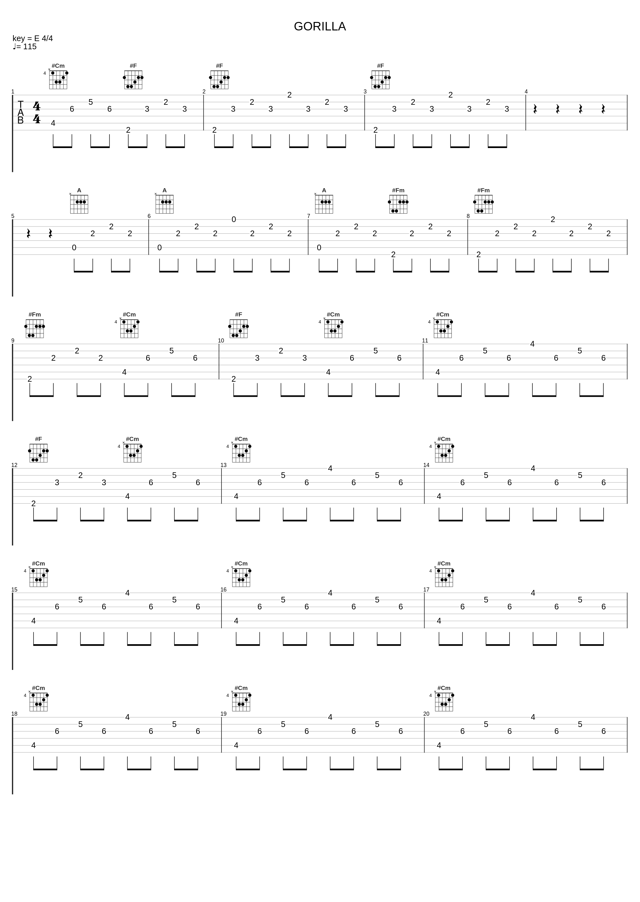 GORILLA_南方之星_1