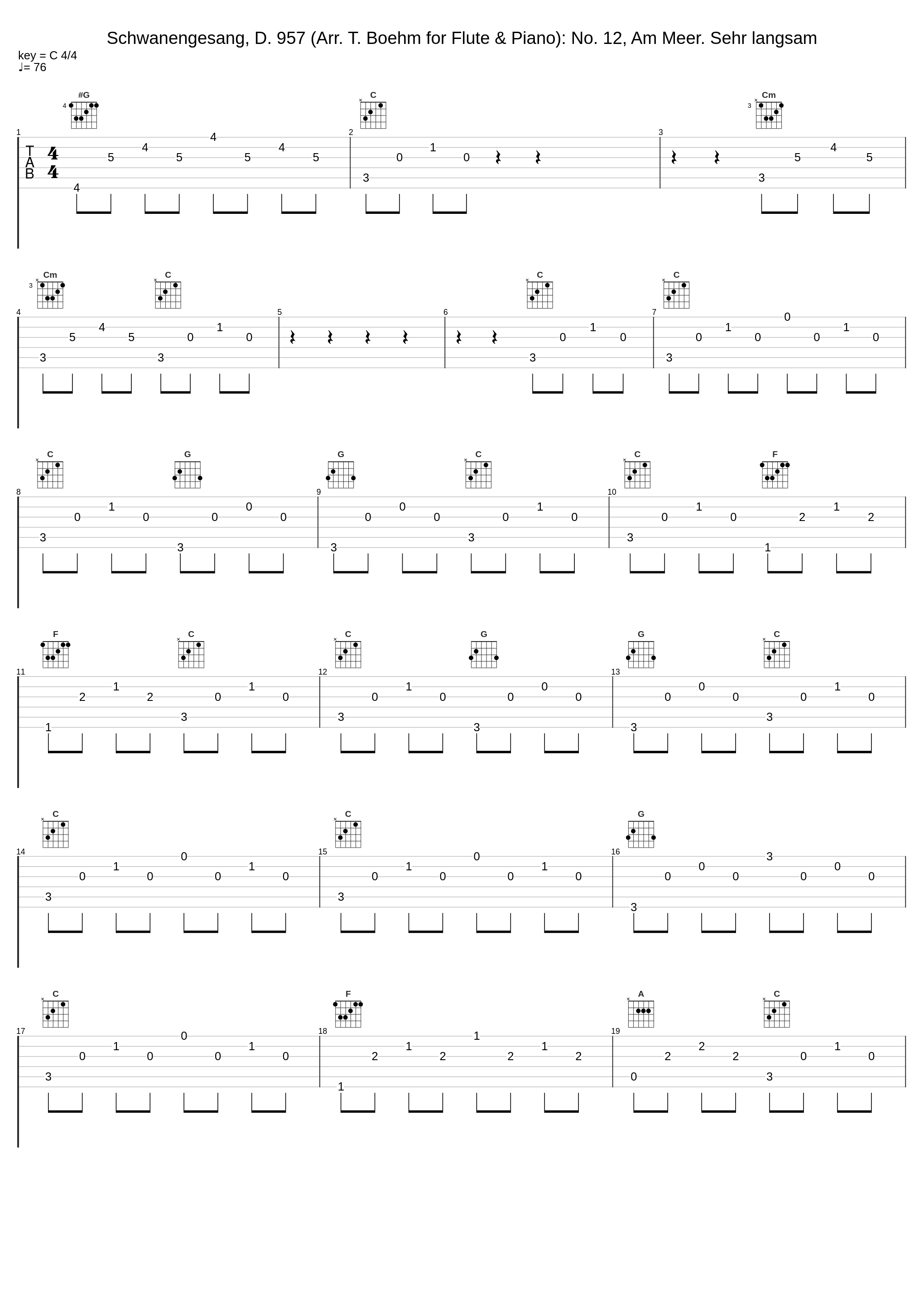 Schwanengesang, D. 957 (Arr. T. Boehm for Flute & Piano): No. 12, Am Meer. Sehr langsam_Leonardo Grittani,Maurizio Zaccaria_1