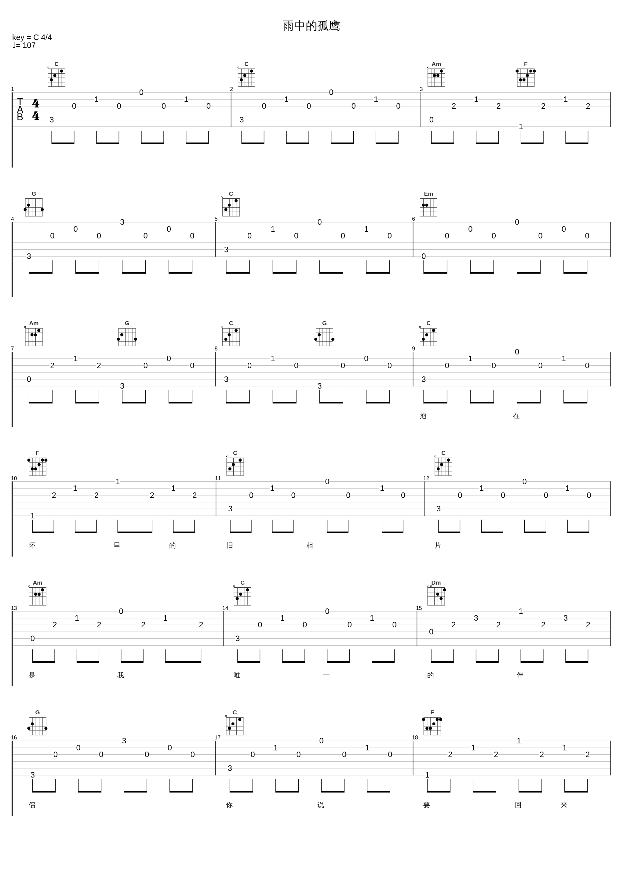 雨中的孤鹰_韩宝仪_1