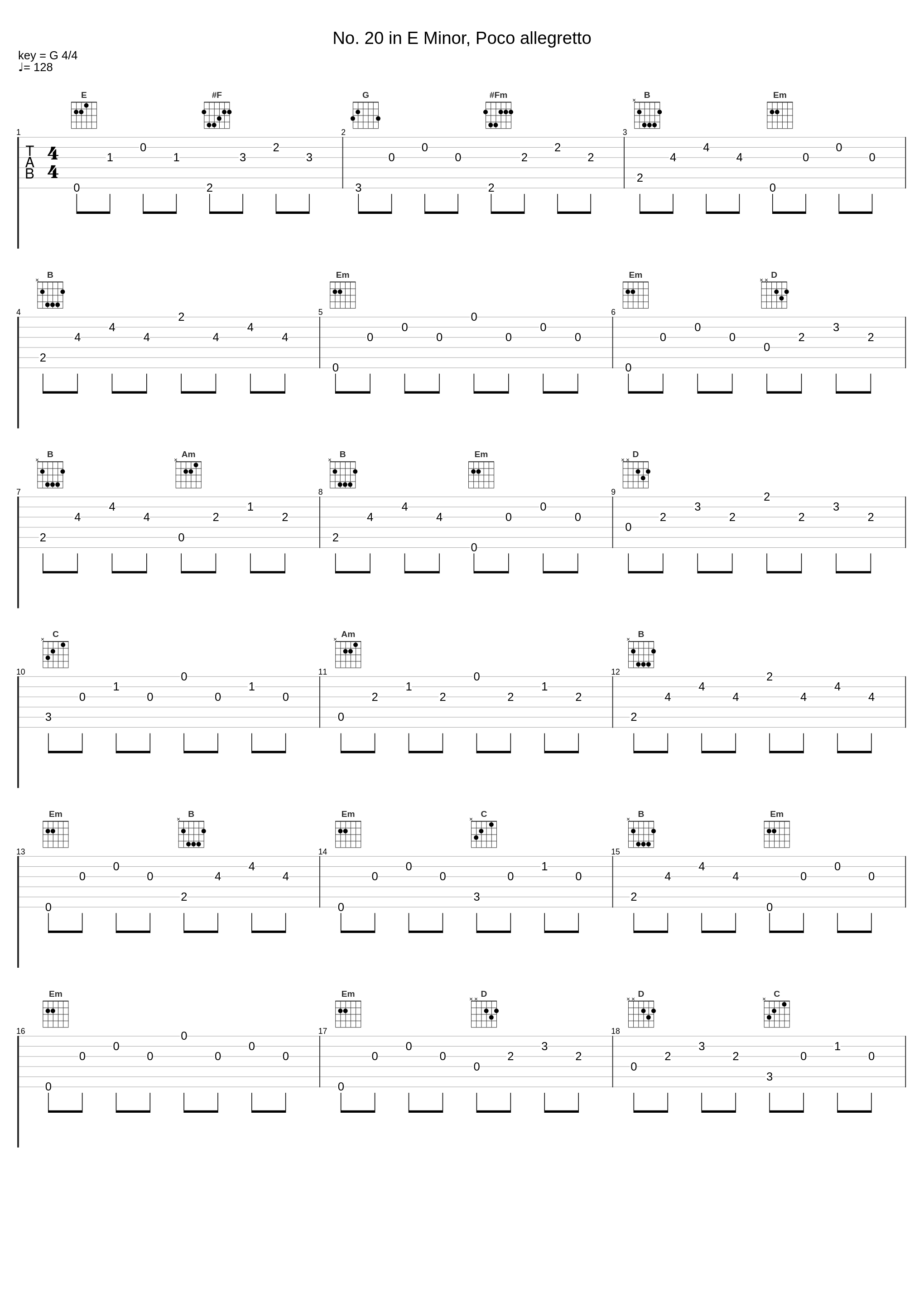 No. 20 in E Minor, Poco allegretto_Nima Sarkechik,Pierre Yves Hodique_1