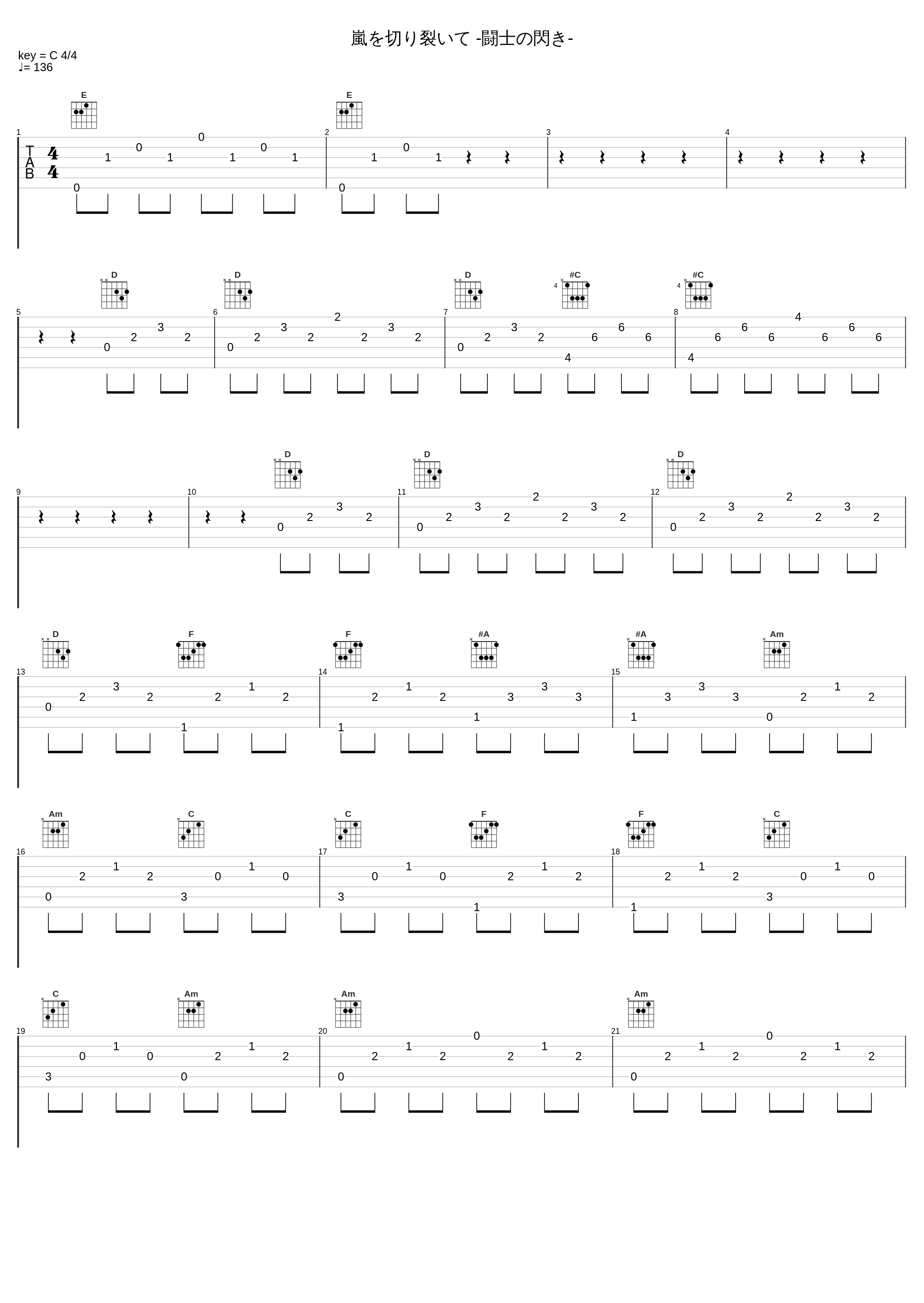 嵐を切り裂いて -闘士の閃き-_椎名豪_1