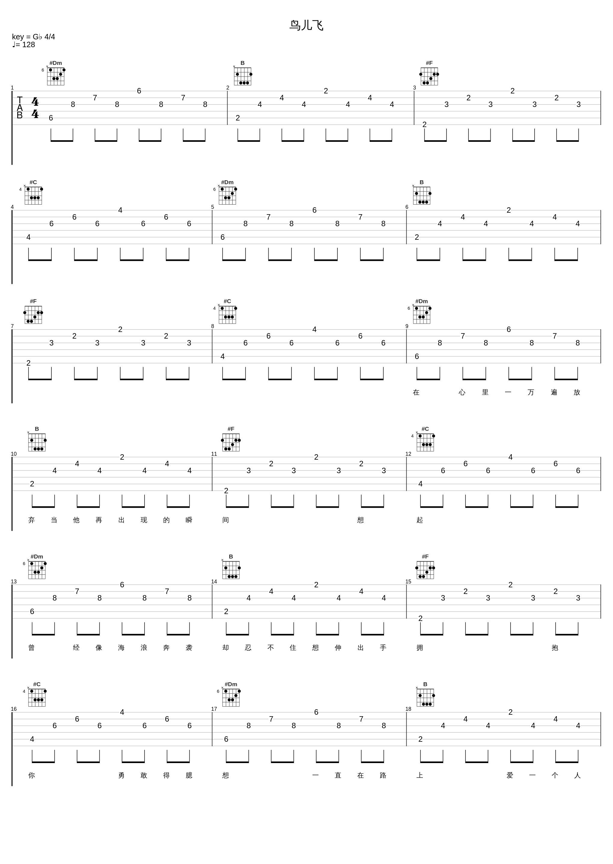 鸟儿飞_牛佳钰_1