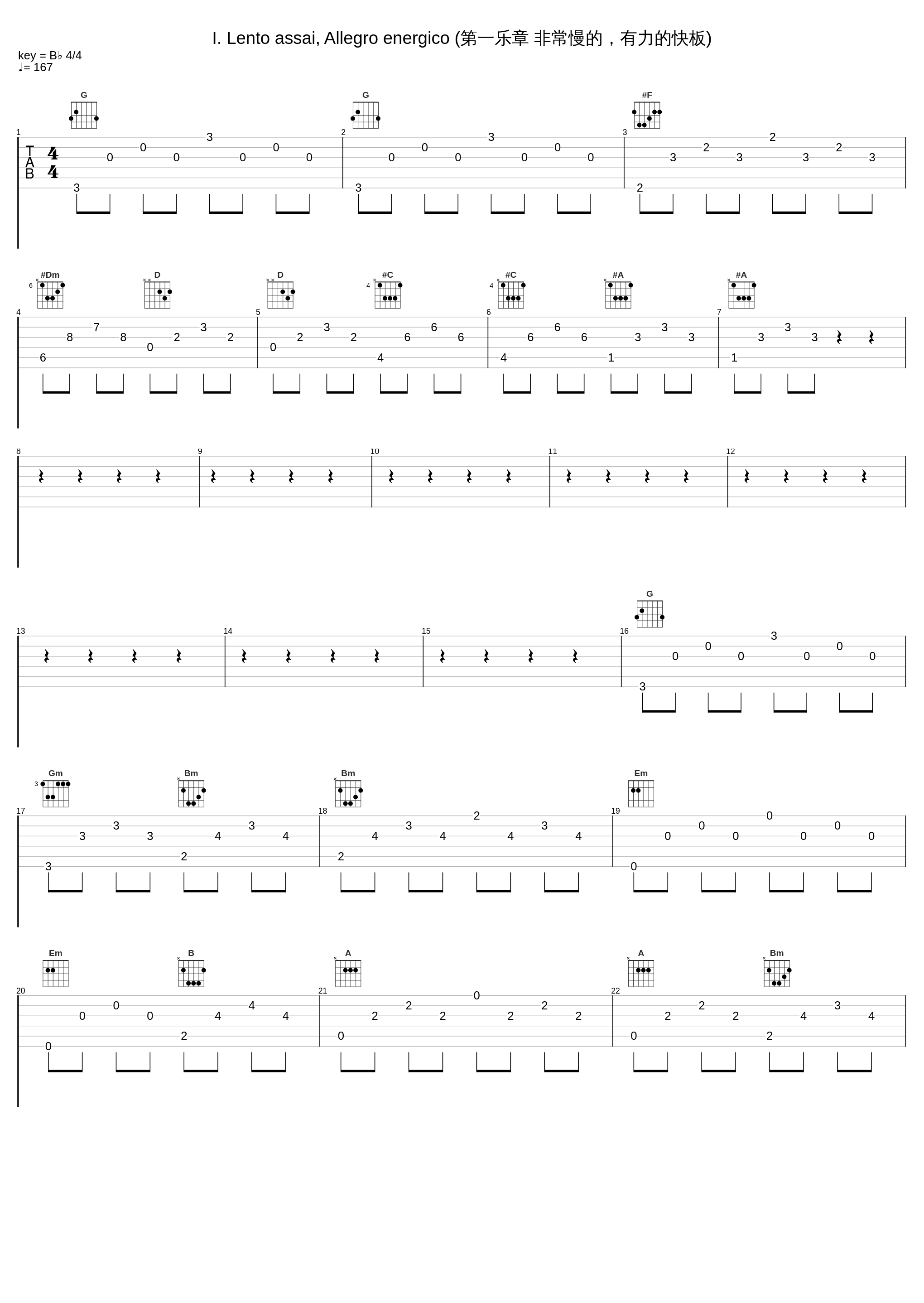 I. Lento assai, Allegro energico (第一乐章 非常慢的，有力的快板)_李云迪_1