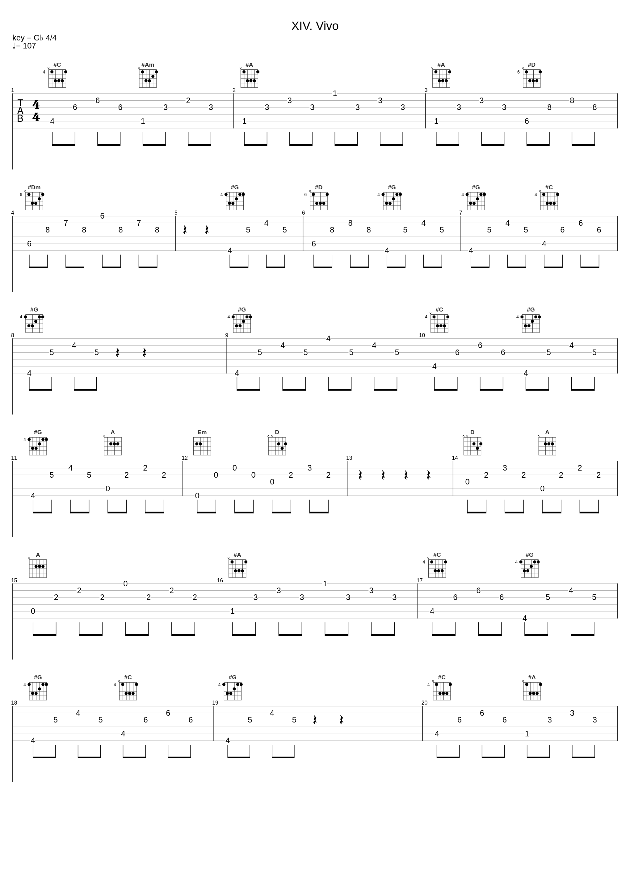 XIV. Vivo_Thomas Hlawatsch_1