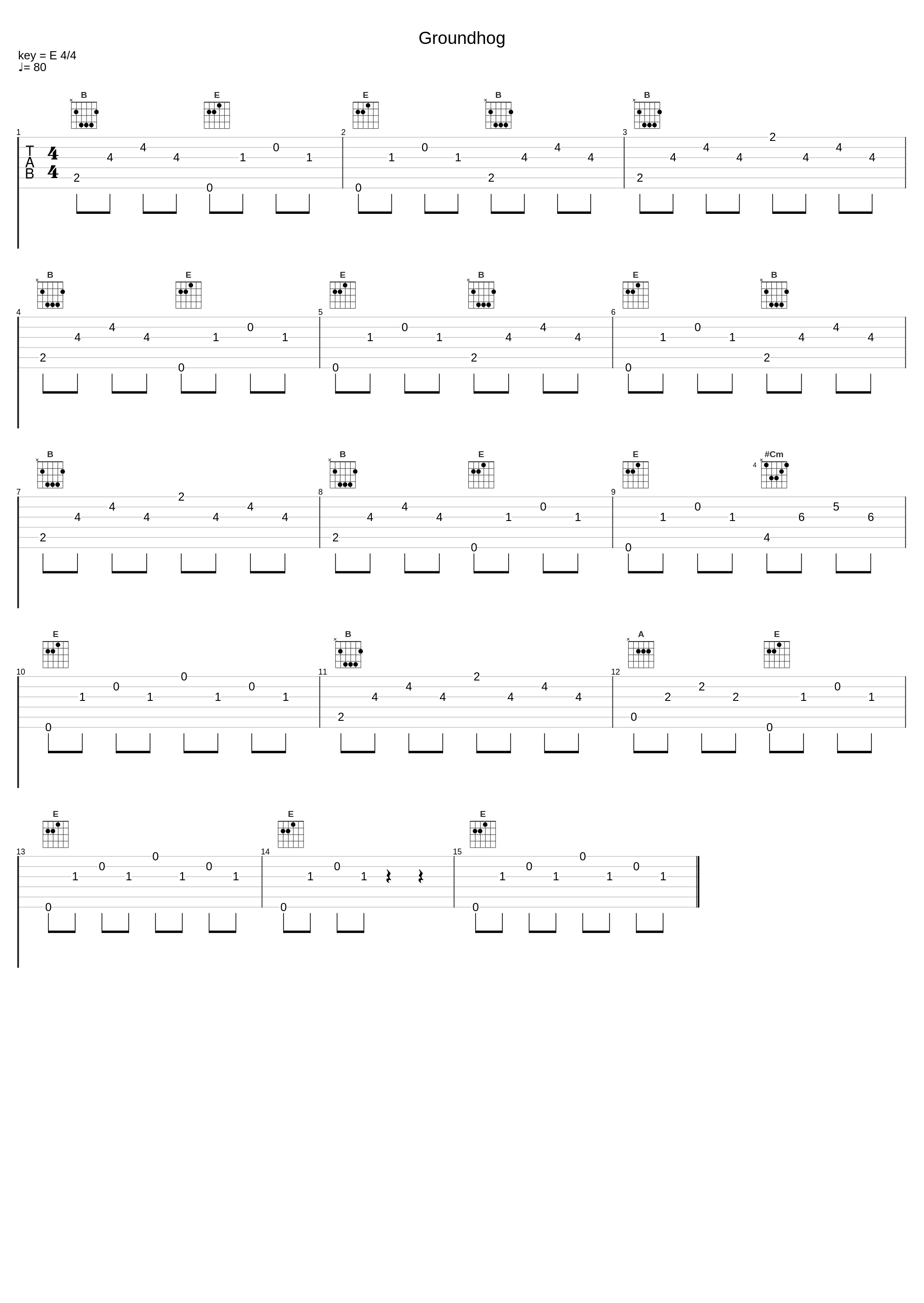 Groundhog_Sam Amidon_1