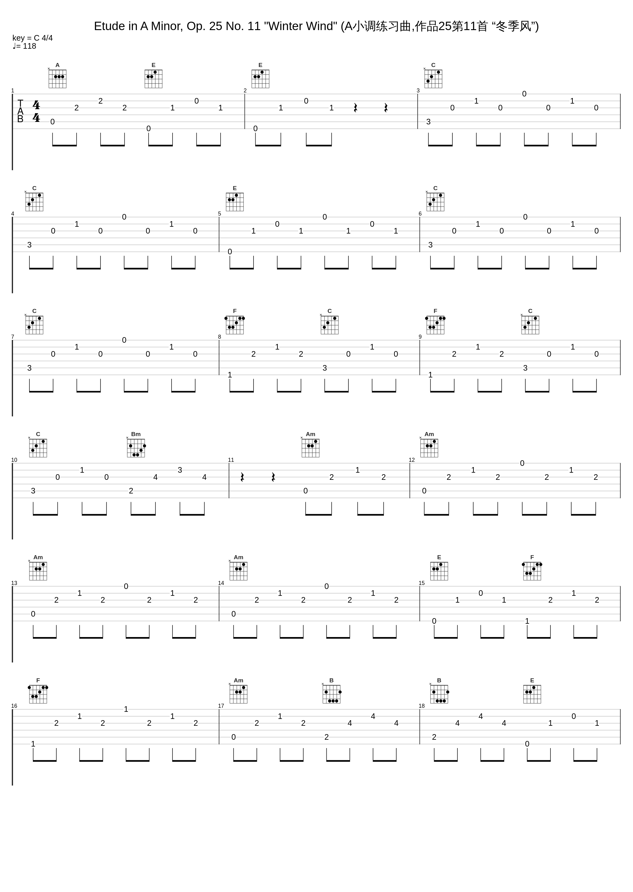 Etude in A Minor, Op. 25 No. 11 "Winter Wind" (A小调练习曲,作品25第11首 “冬季风”)_李云迪_1