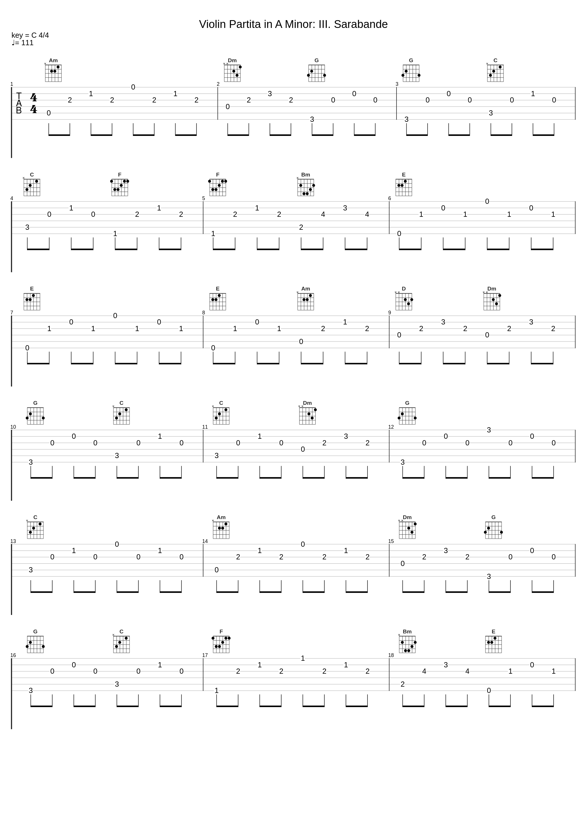 Violin Partita in A Minor: III. Sarabande_Michael Lucarelli_1