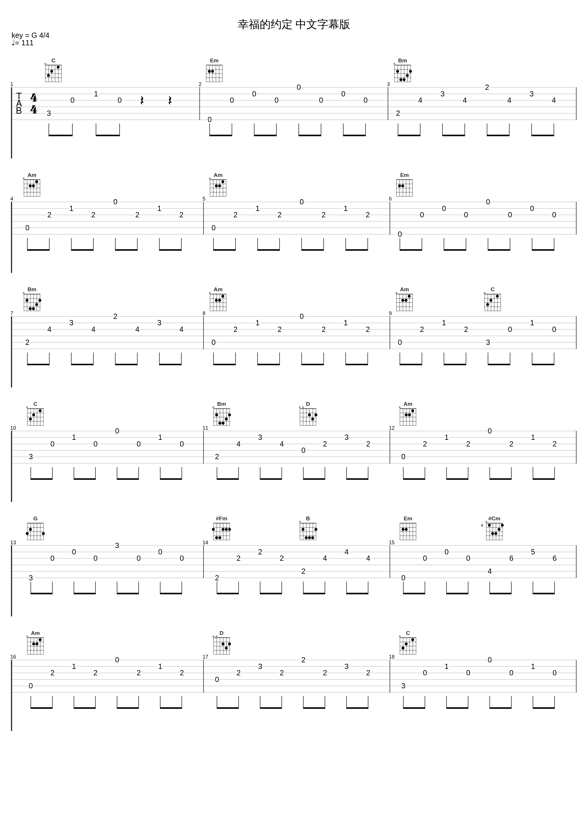 幸福的约定 中文字幕版_Fin.K.L_1