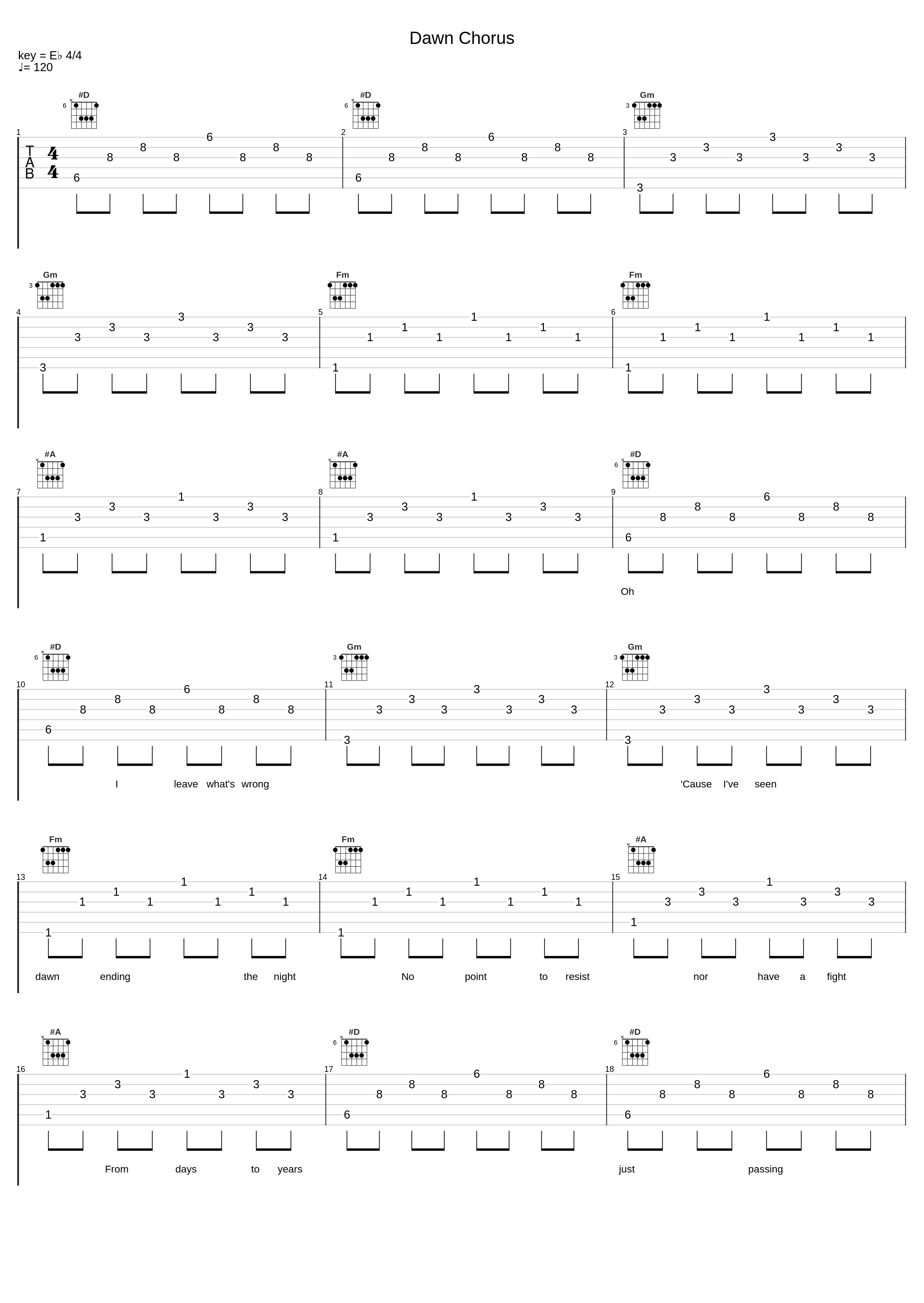 Dawn Chorus_Racoon Racoon_1