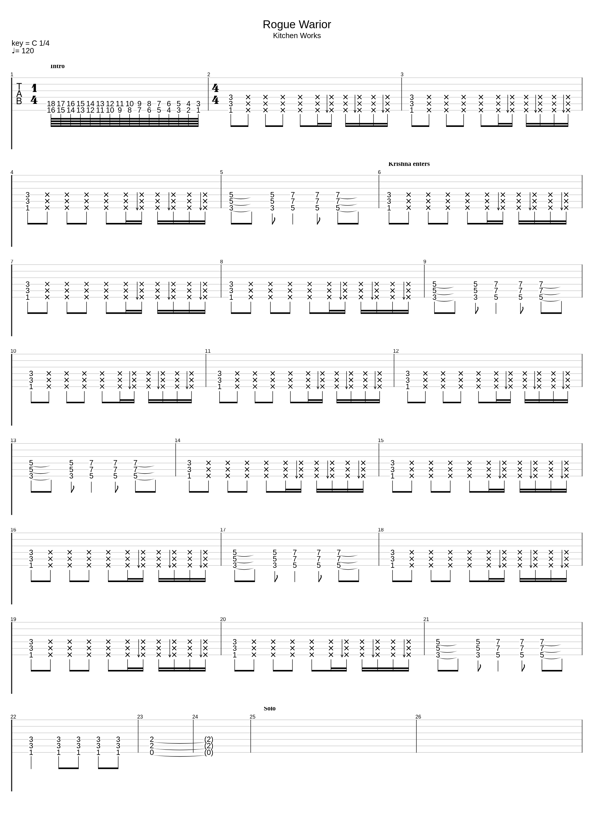 Rogue Warrior_Harry Krishna_1