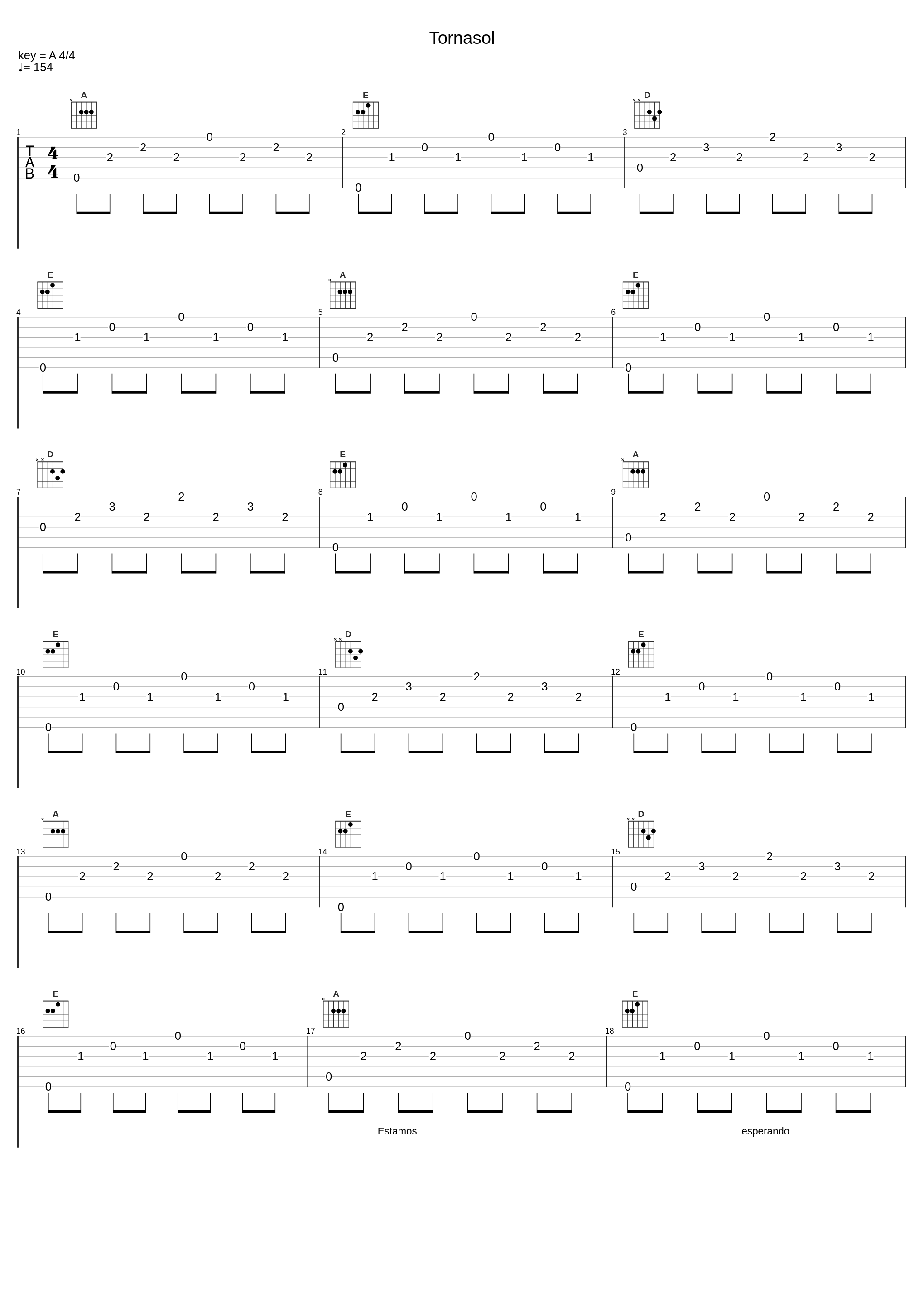 Tornasol_La Gusana Ciega_1