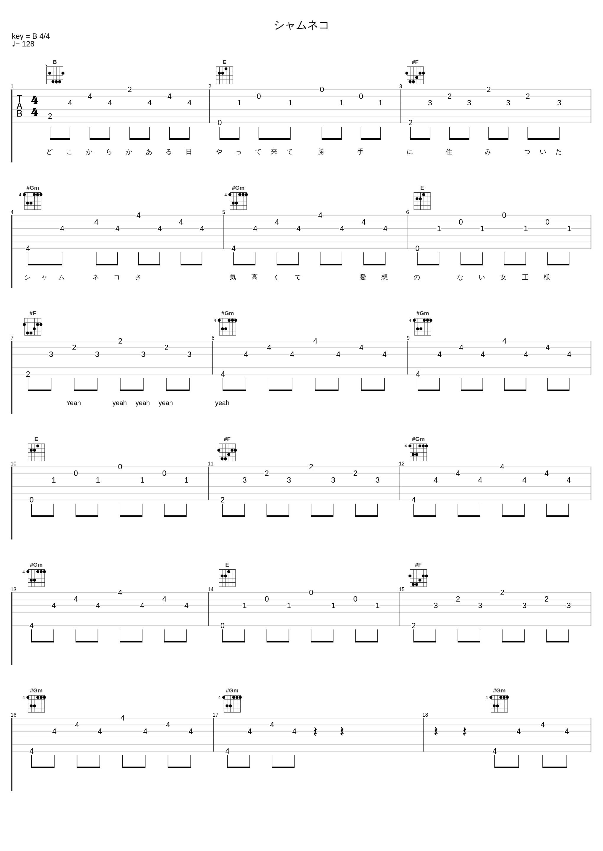 シャムネコ_AKB48_1