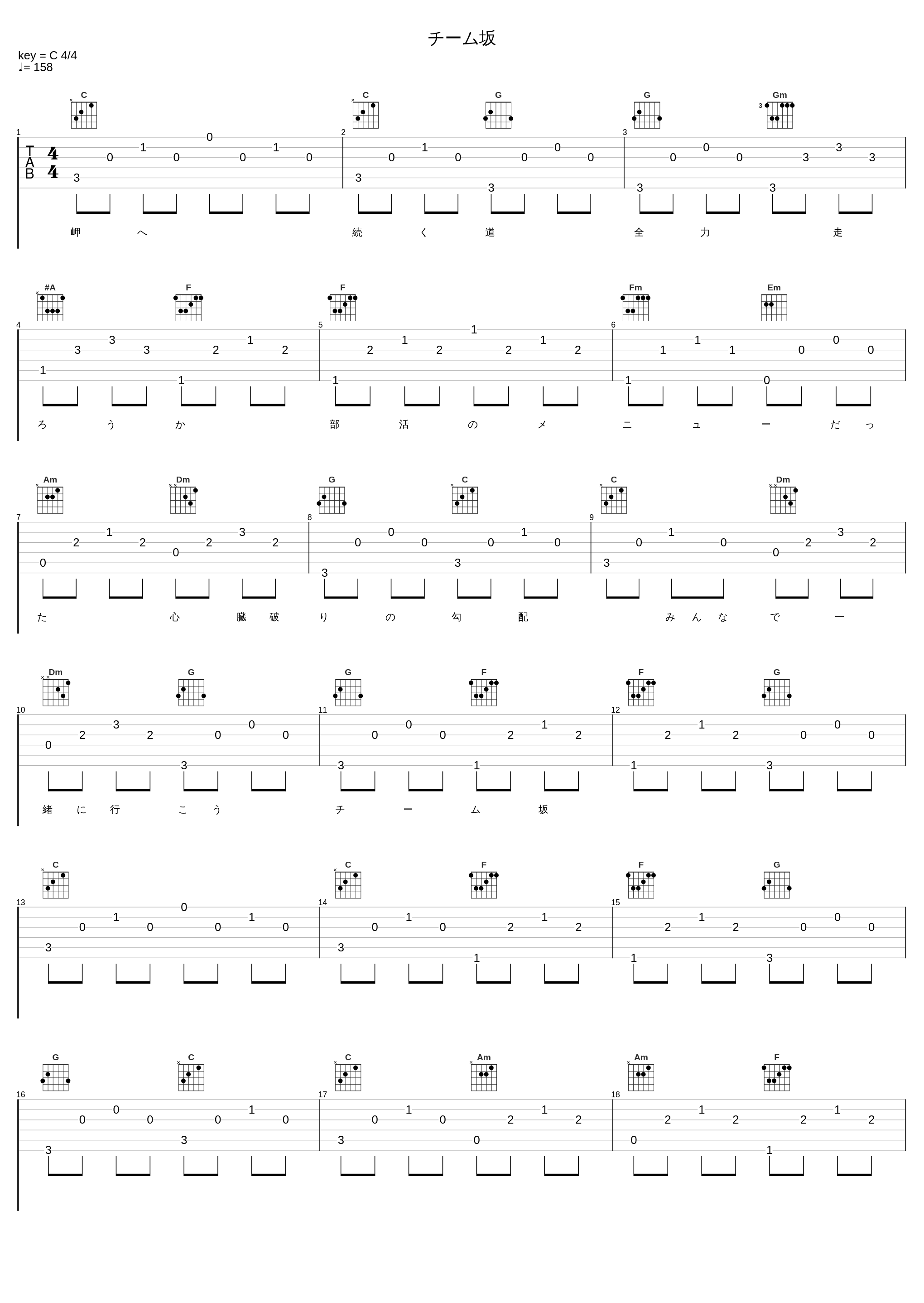 チーム坂_AKB48_1