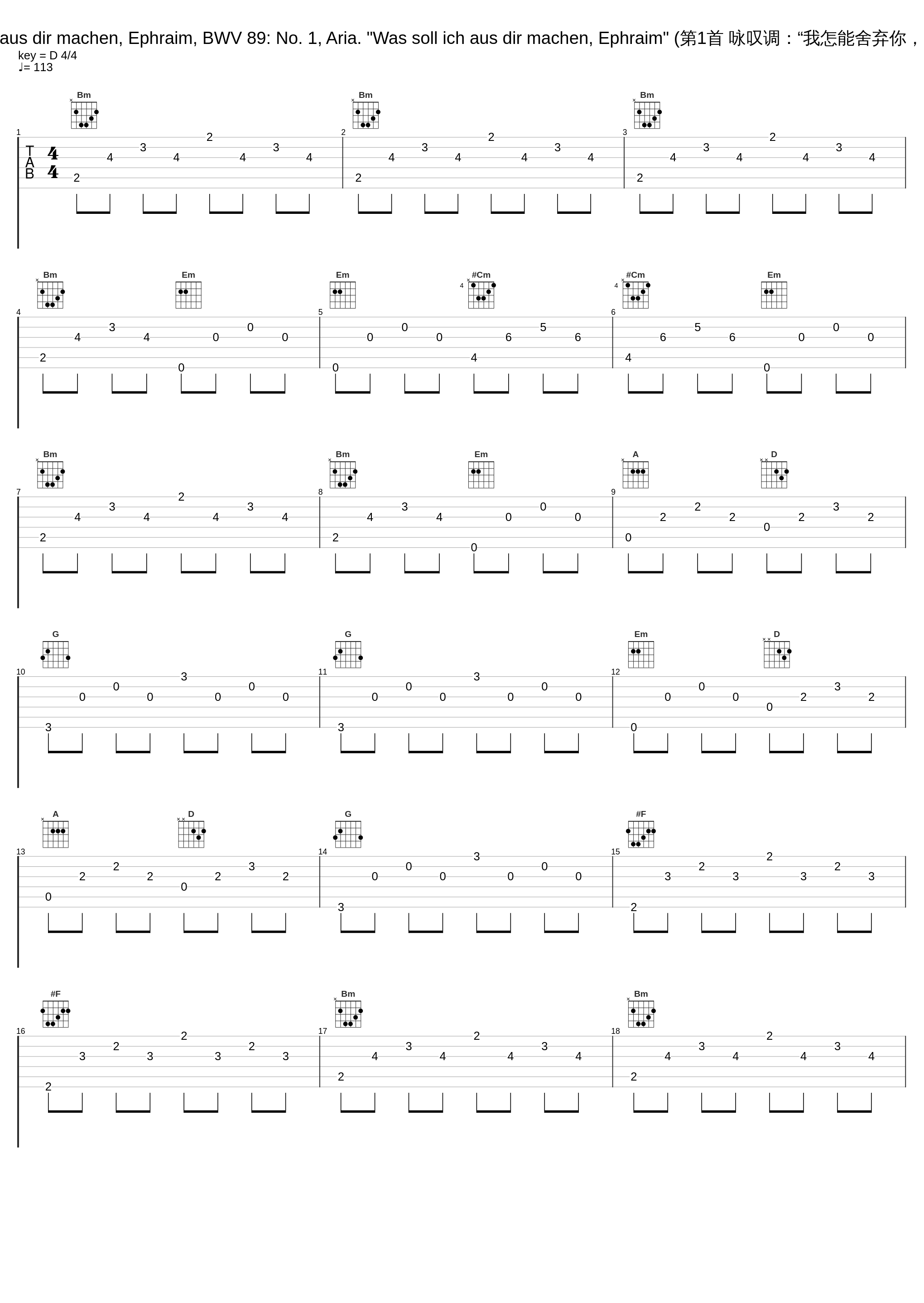 Was soll ich aus dir machen, Ephraim, BWV 89: No. 1, Aria. "Was soll ich aus dir machen, Ephraim" (第1首 咏叹调：“我怎能舍弃你，以法莲哪？”)_Gustav Leonhardt,Leonhardt-Consort,Max van Egmond_1