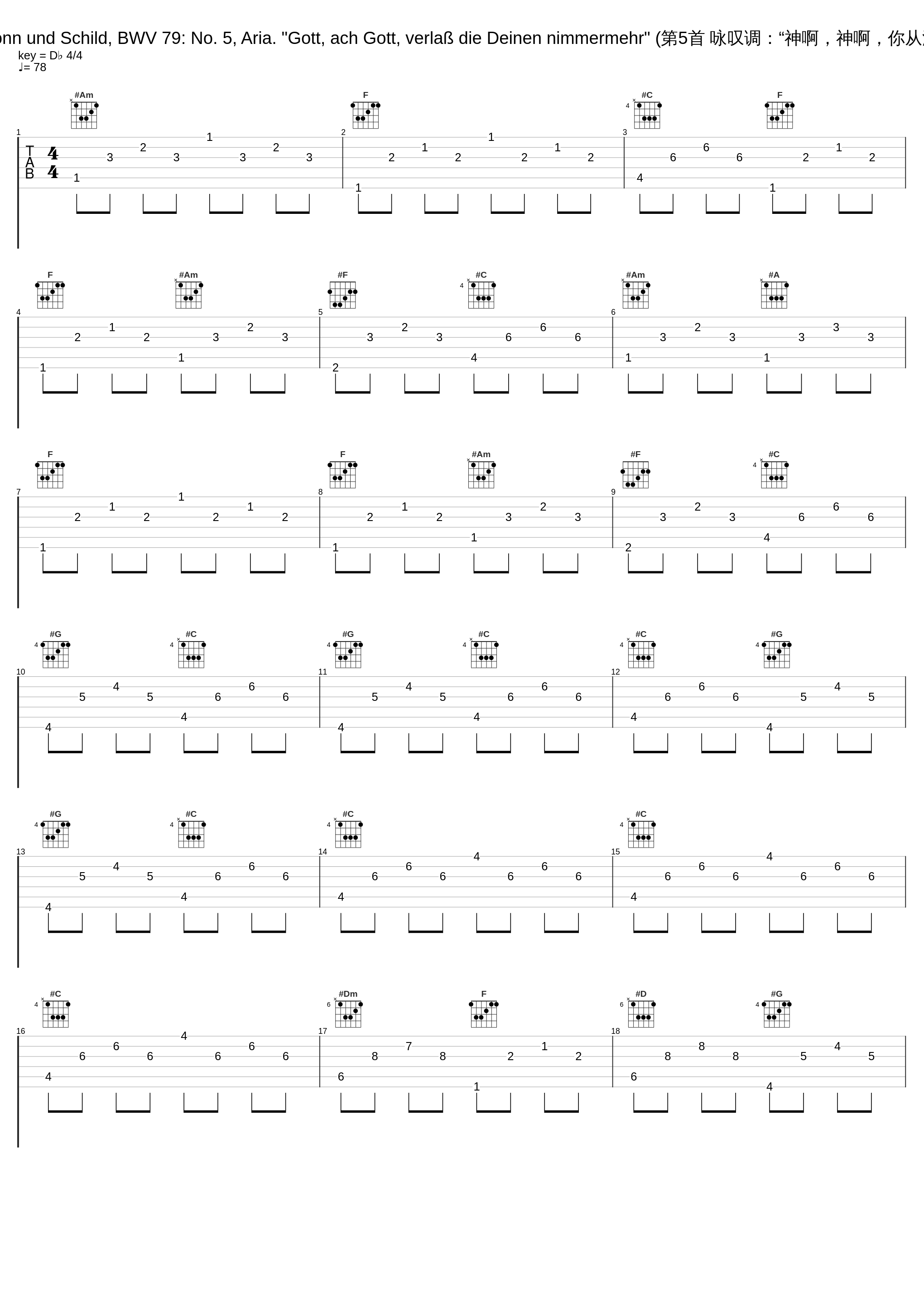 Gott der Herr ist Sonn und Schild, BWV 79: No. 5, Aria. "Gott, ach Gott, verlaß die Deinen nimmermehr" (第5首 咏叹调：“神啊，神啊，你从没有丢弃你的子民”)_Gustav Leonhardt,Leonhardt-Consort,Detlef Bratschke,Max van Egmond_1