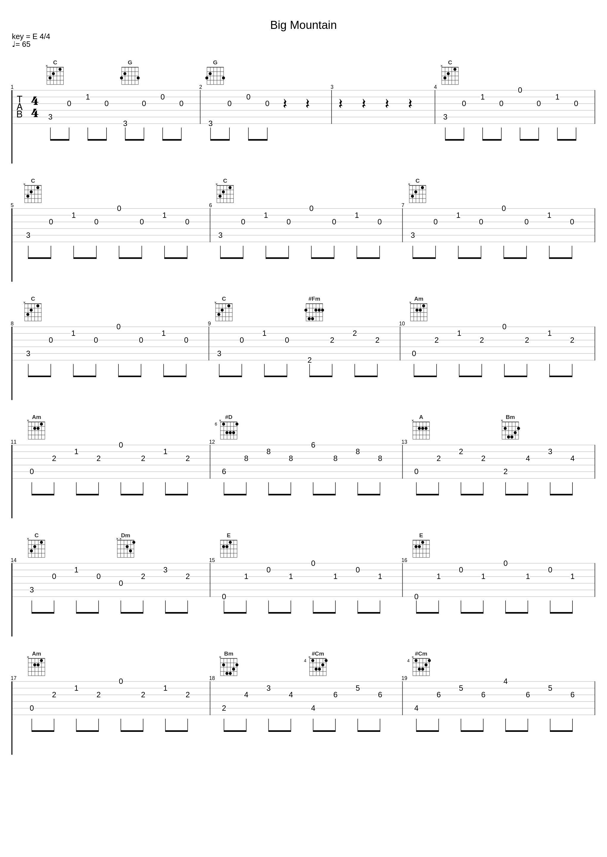 Big Mountain_X-Ray Dog_1