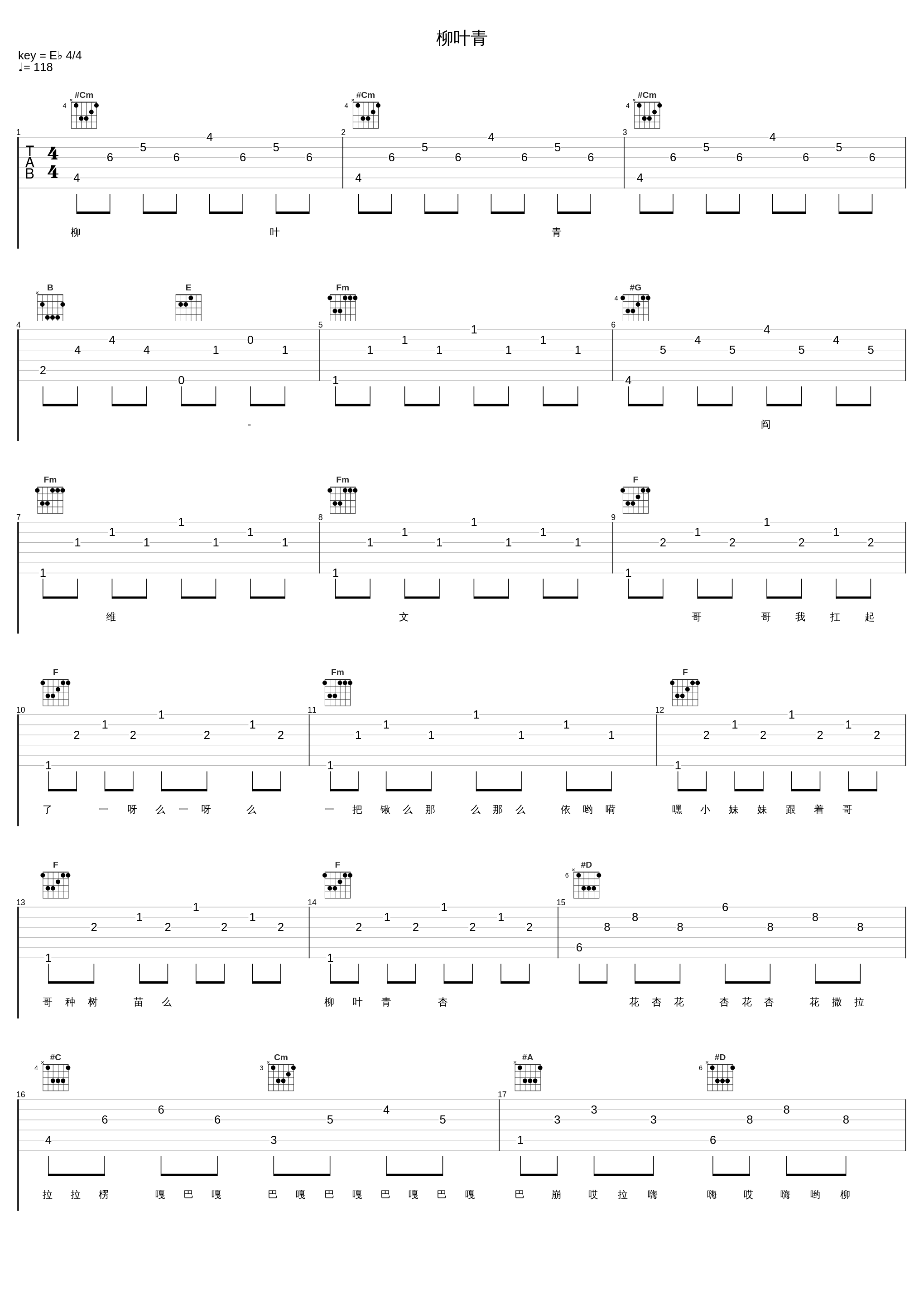 柳叶青_阎维文_1