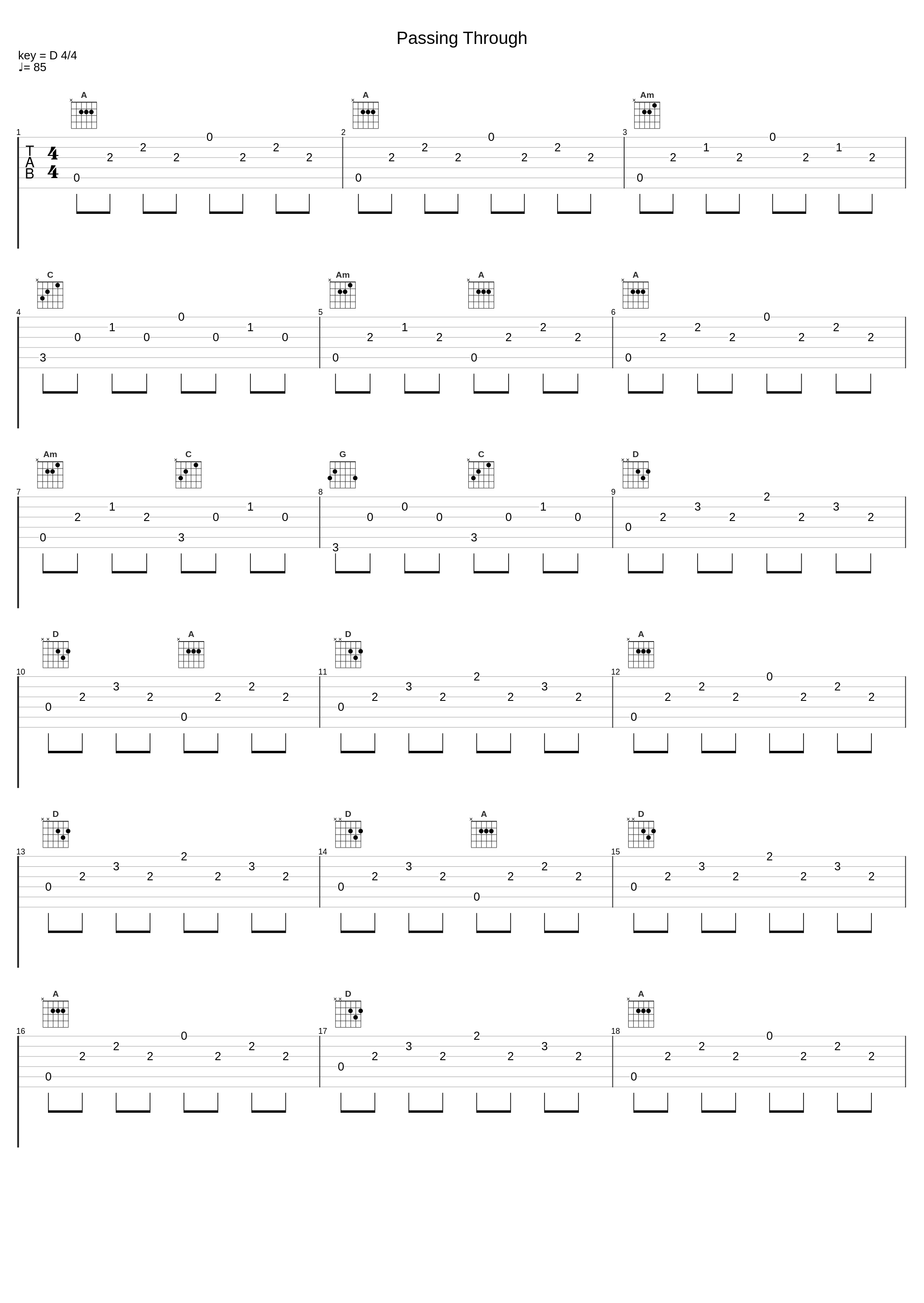 Passing Through_X-Ray Dog_1