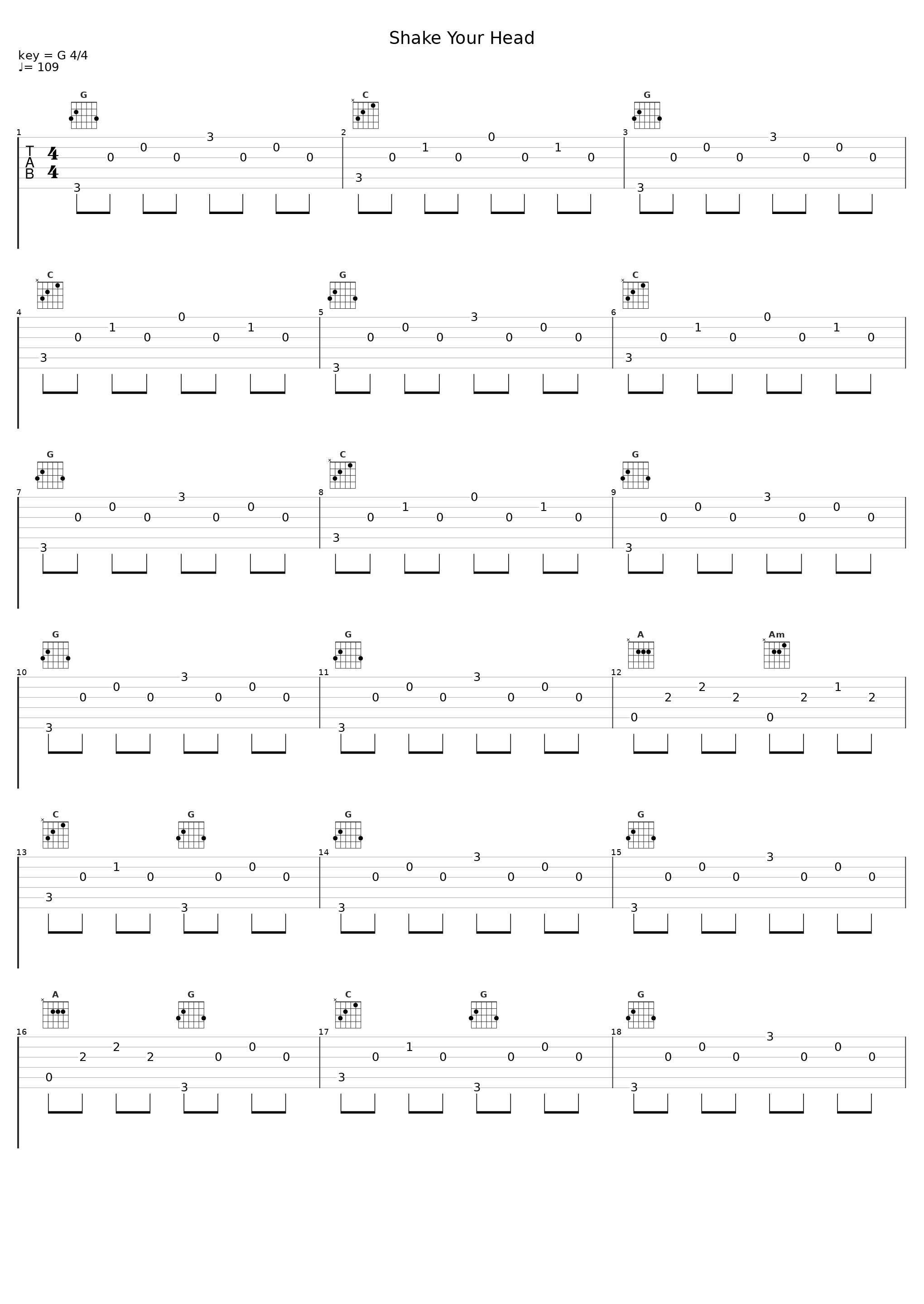 Shake Your Head_The Evening Guests_1