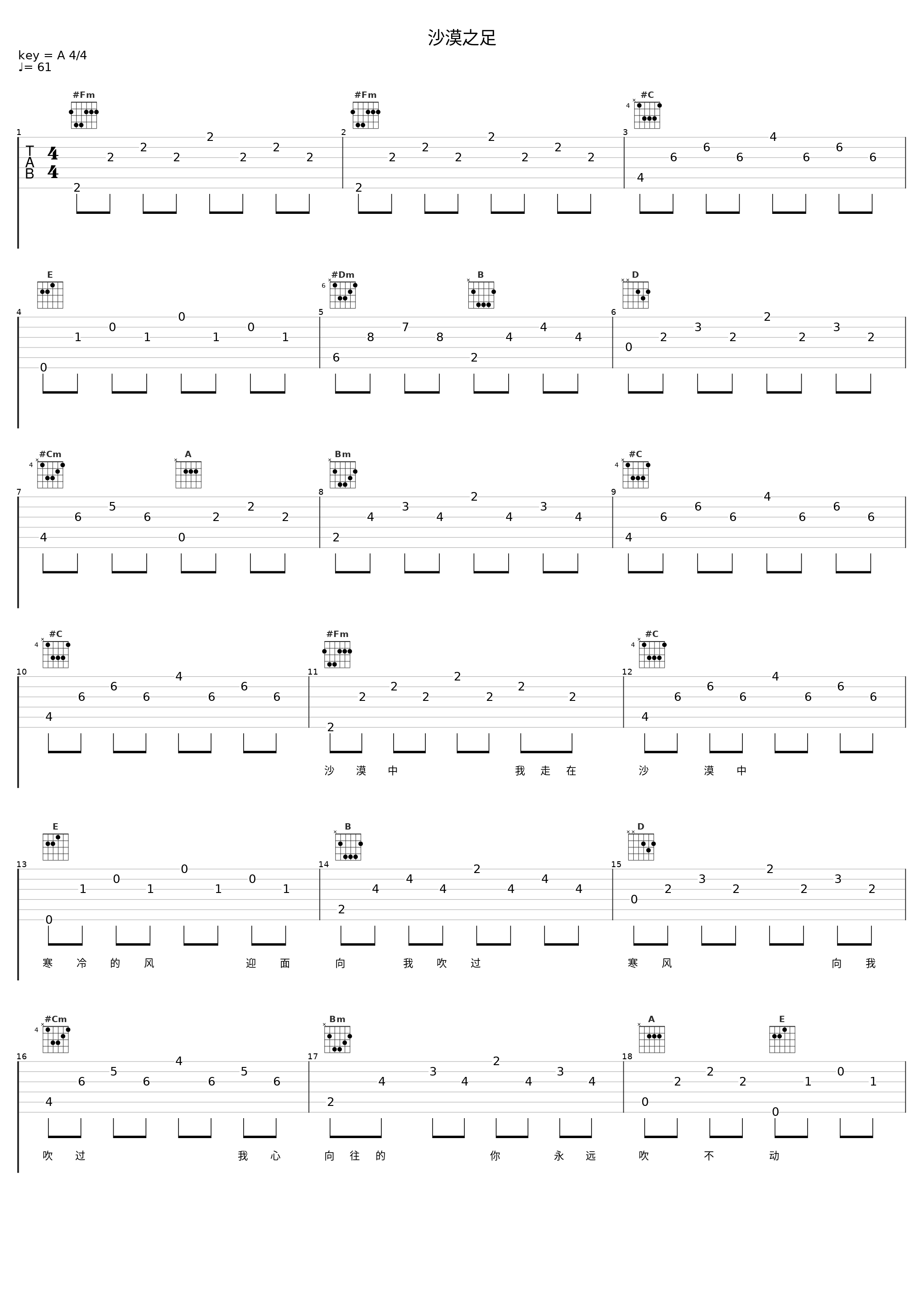 沙漠之足_童安格_1