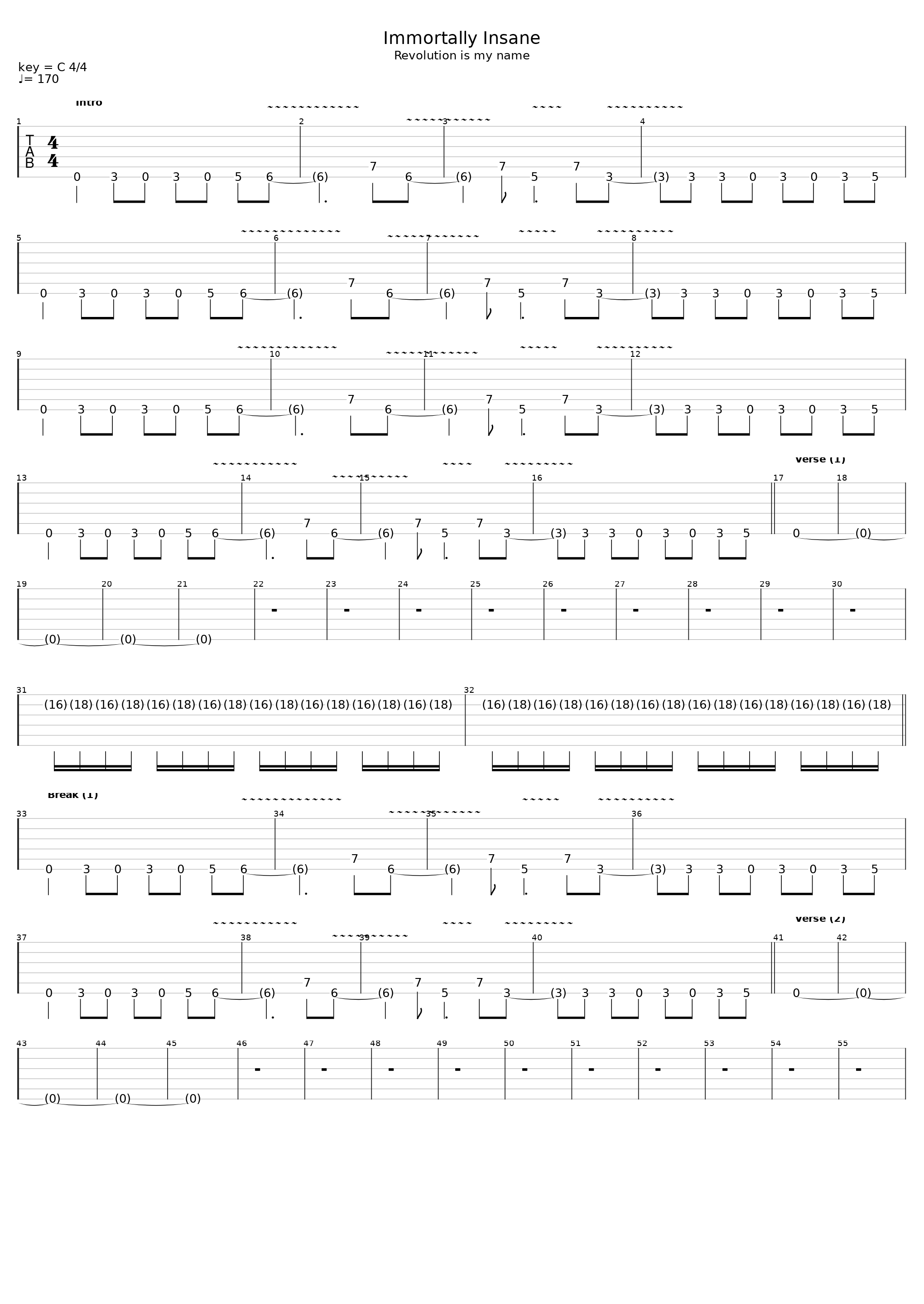 Immortally Insane D Standard_Pantera_1