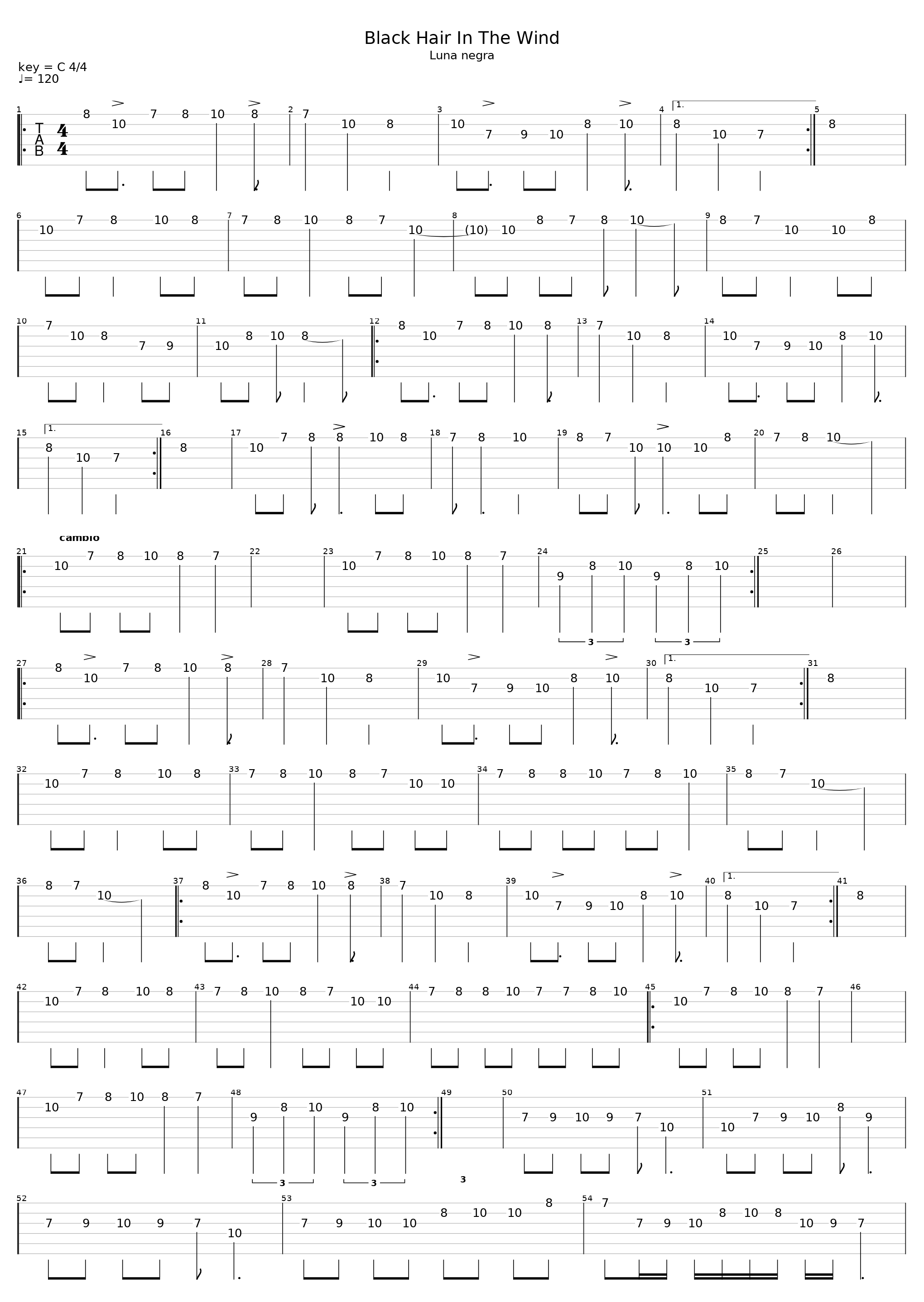 Black Hair In The Wind_Ottmar Liebert_1