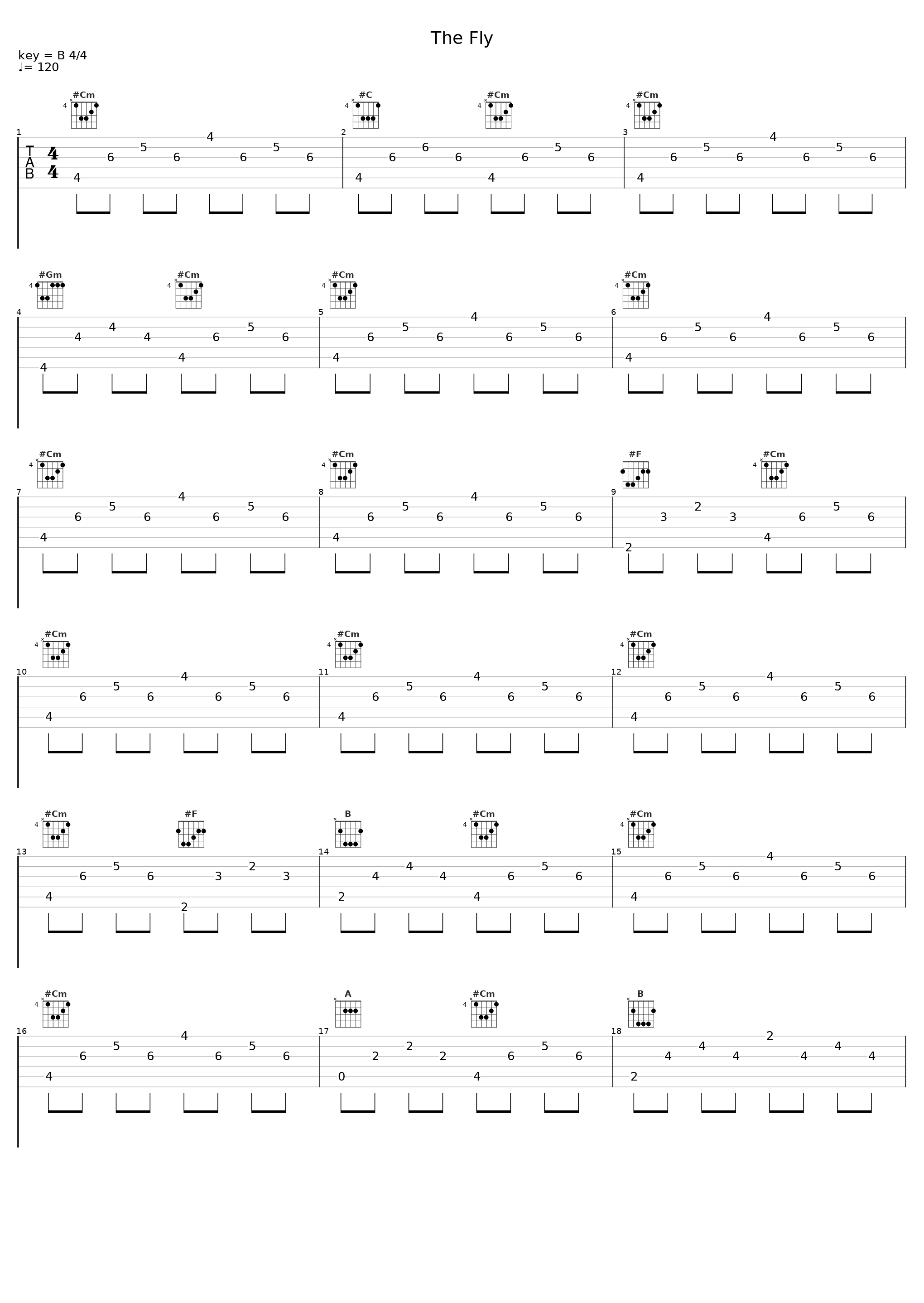 The Fly_Cross Record_1