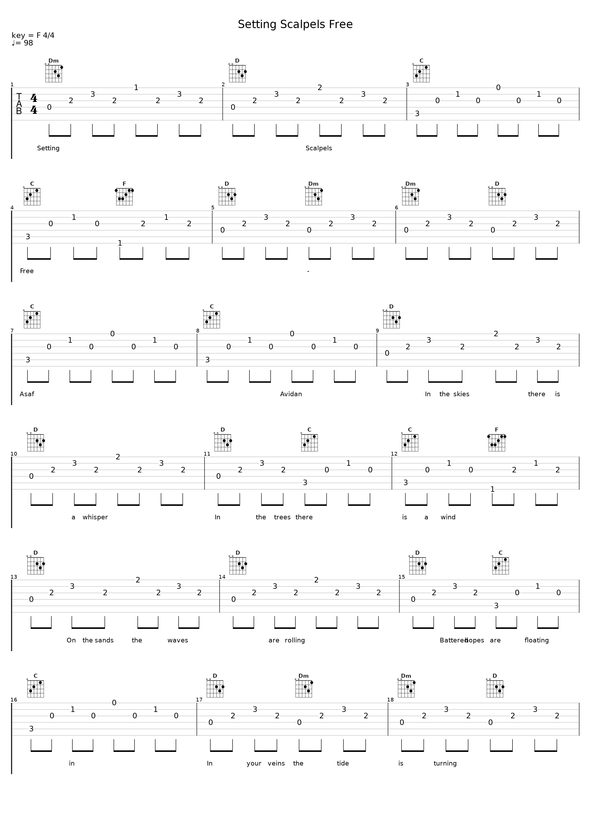 Setting Scalpels Free_Asaf Avidan_1