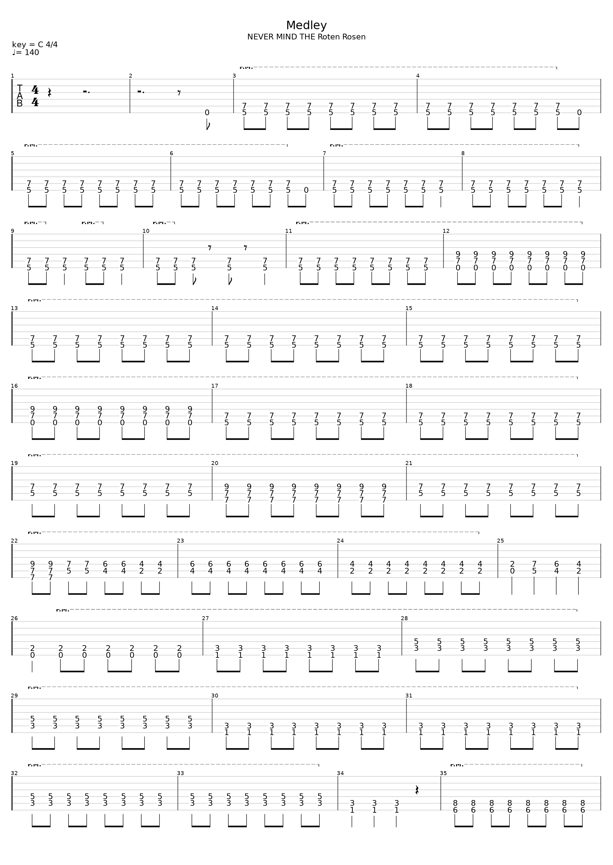 Medley_Die Toten Hosen_1
