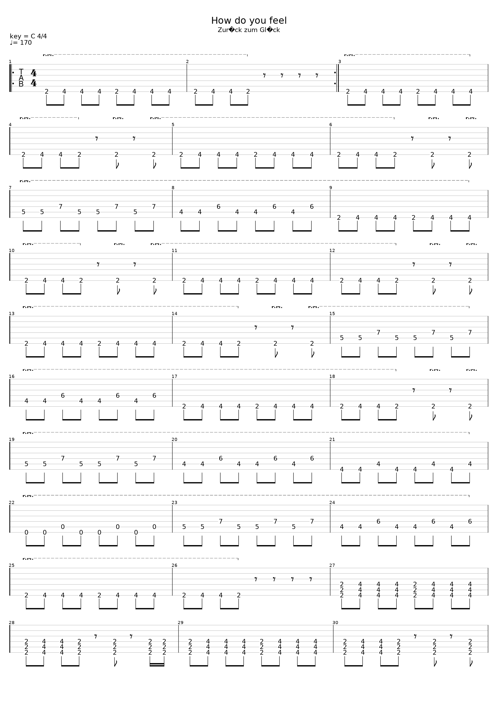 How Do You Feel_Die Toten Hosen_1