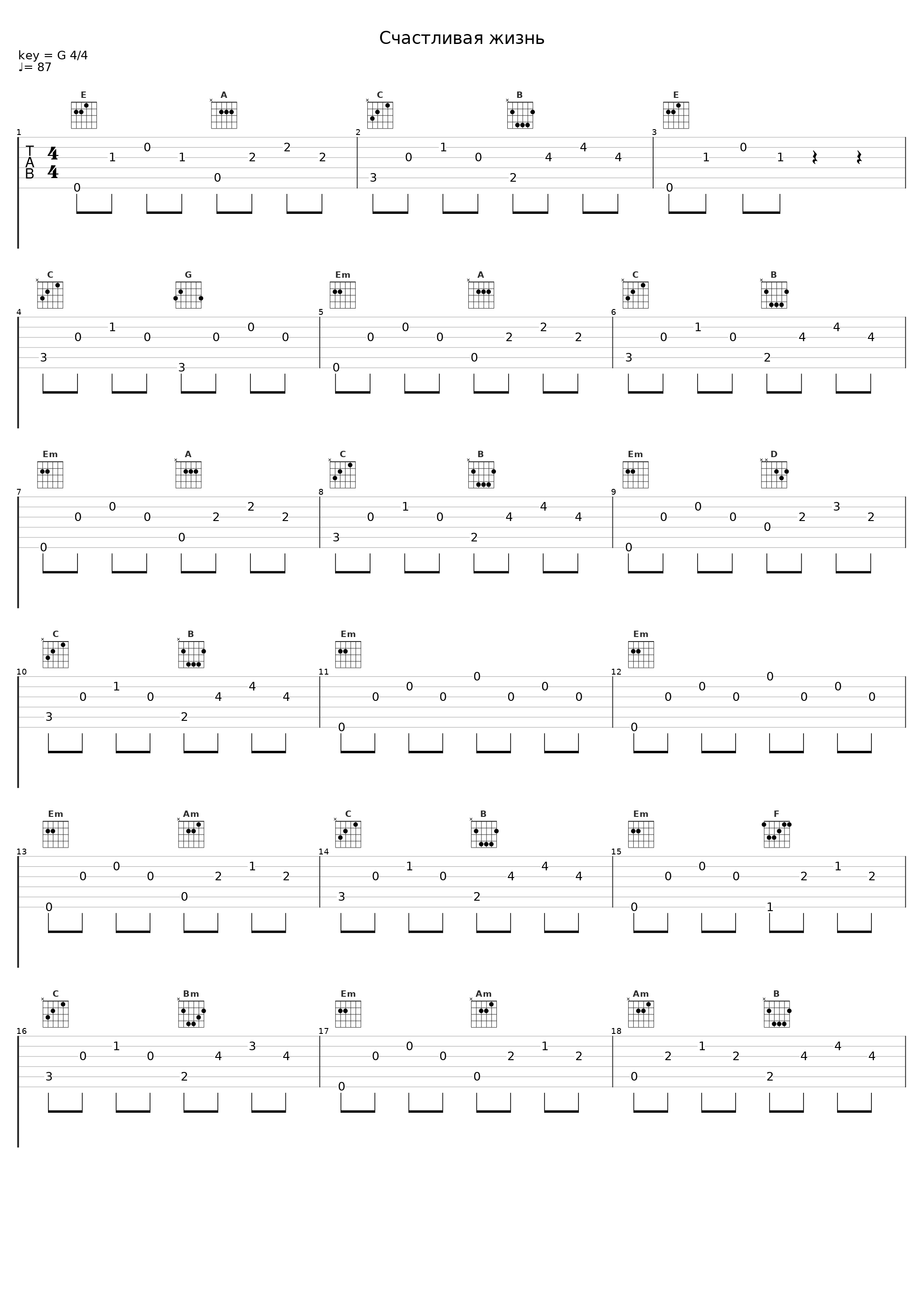 Счастливая жизнь_ШАРЫ_1