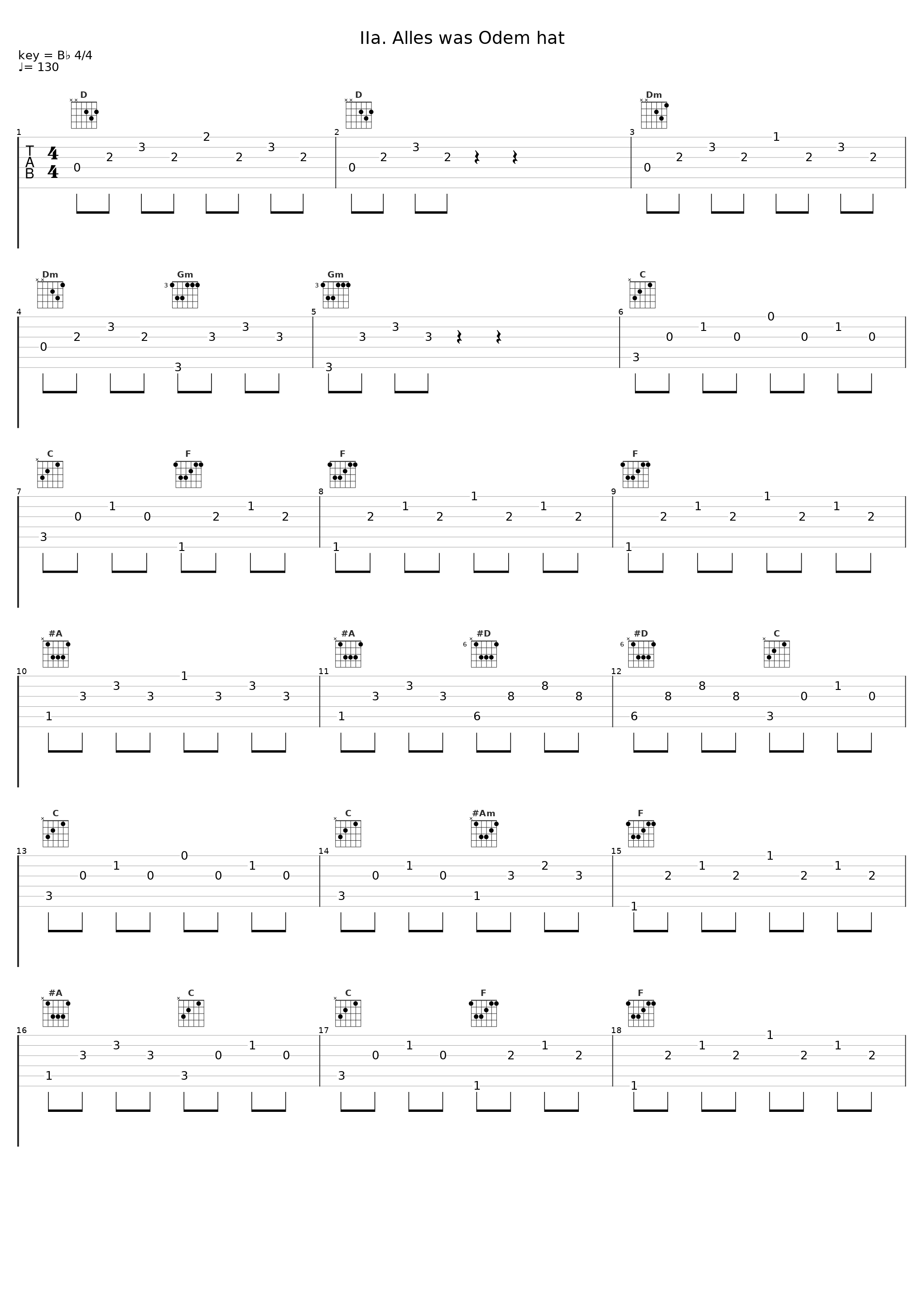 IIa. Alles was Odem hat_Deutscher Kammerchor,Heidelberger Sinfoniker,Thomas Fey_1