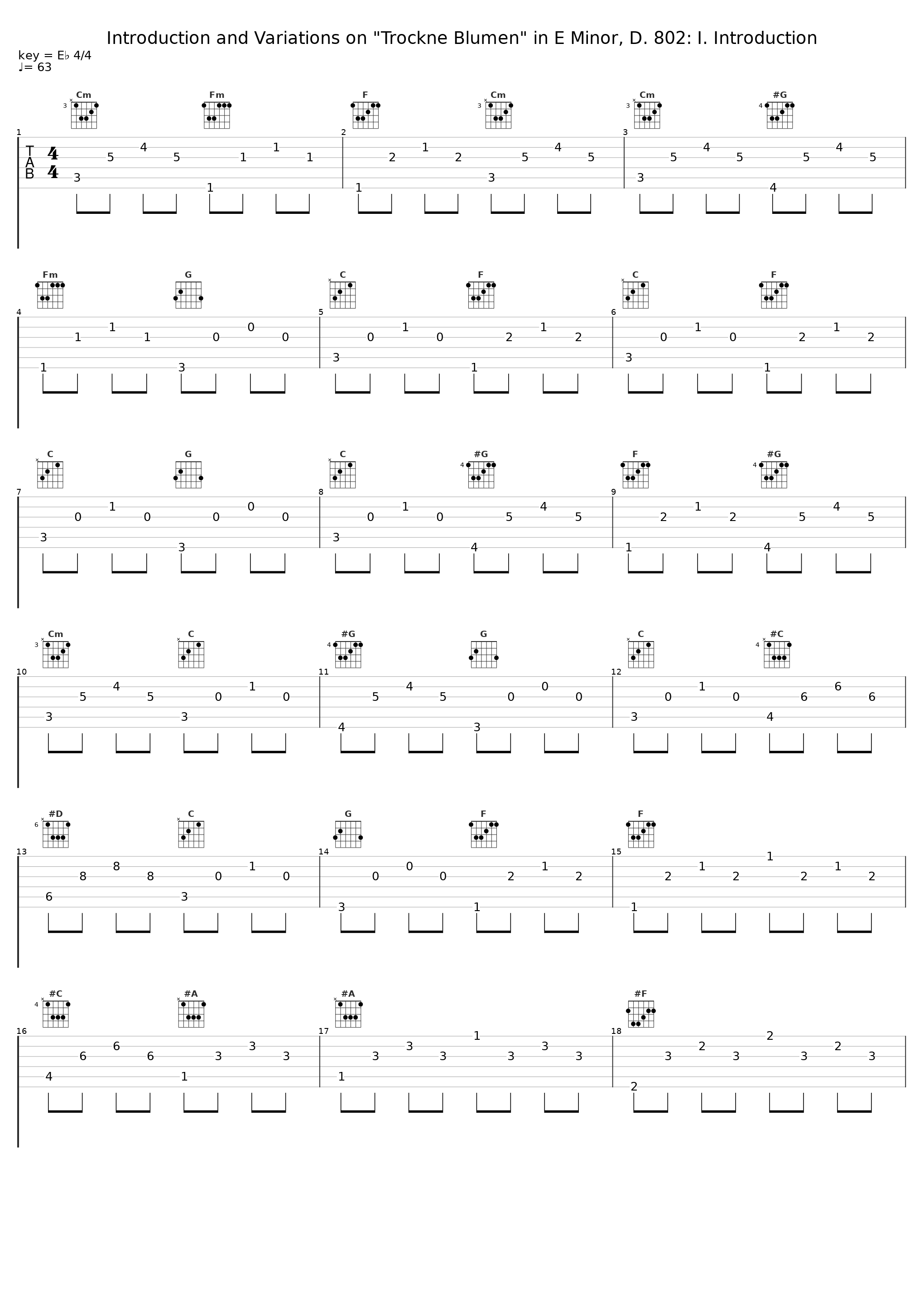 Introduction and Variations on "Trockne Blumen" in E Minor, D. 802: I. Introduction_Pedro Pablo Camara Toldos,Camilla Kohnken_1