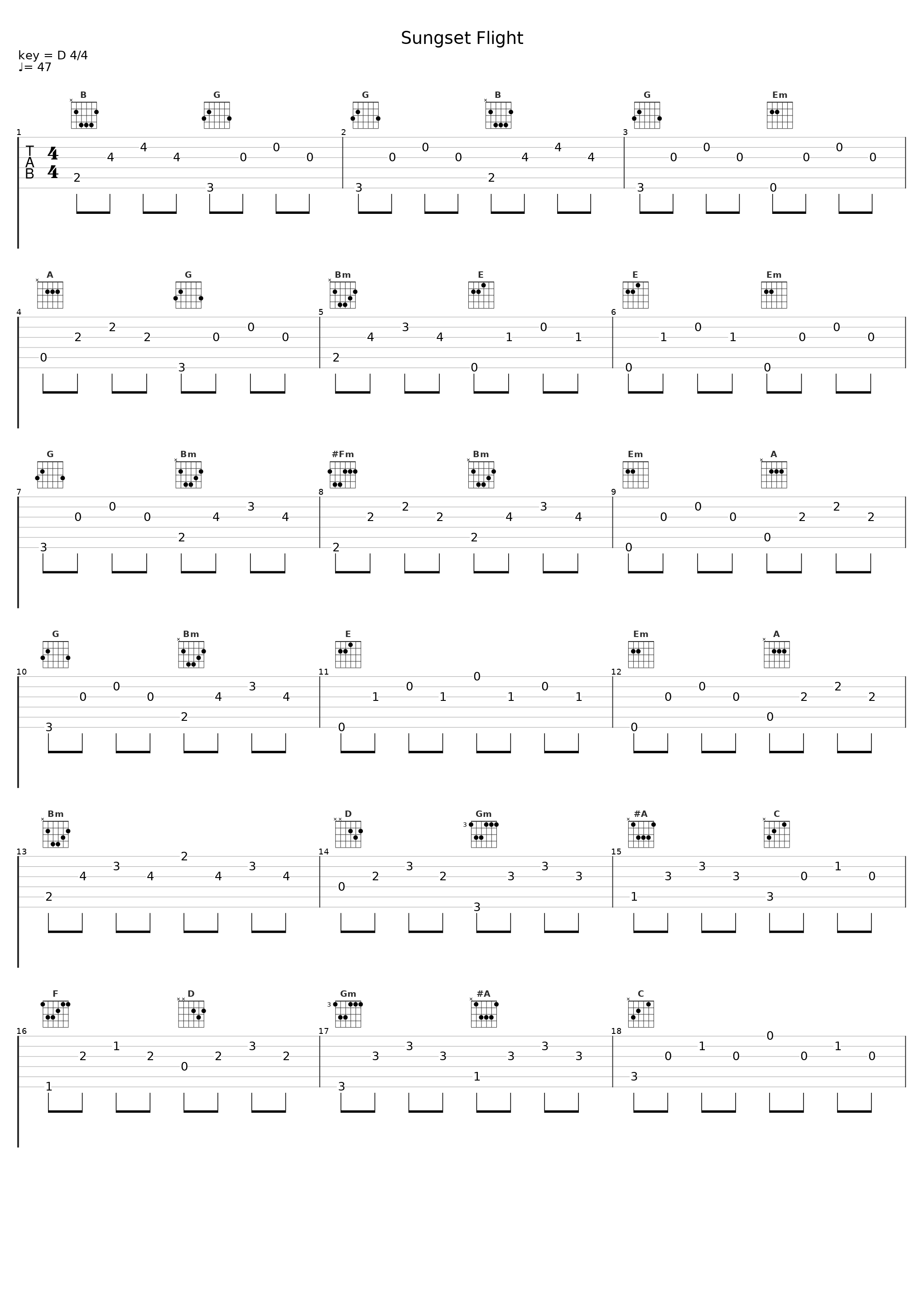 Sungset Flight_中村由利子_1