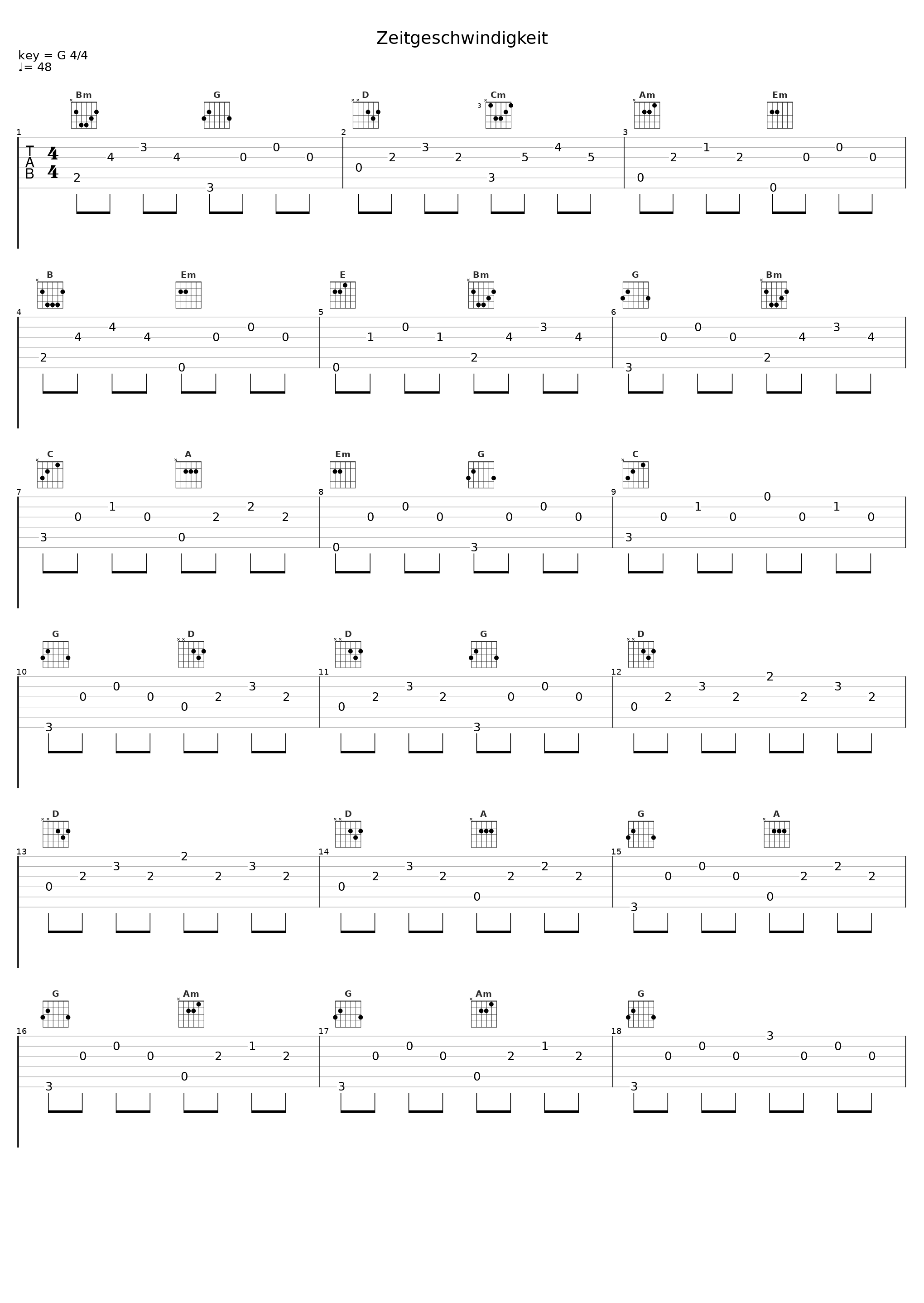 Zeitgeschwindigkeit_Springintgut,F.S. Blumm_1