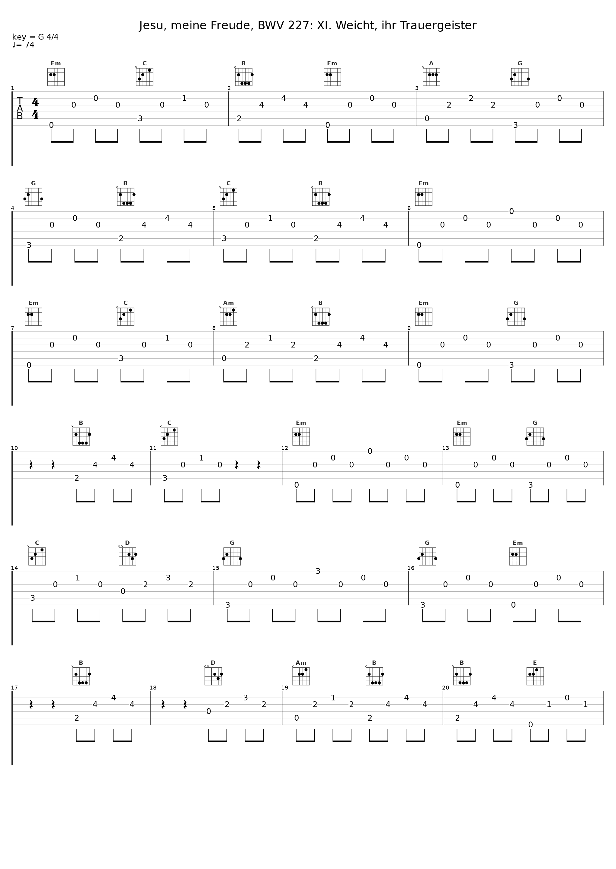 Jesu, meine Freude, BWV 227: XI. Weicht, ihr Trauergeister_Württemberg Chamber Orchestra Heilbronn,Frankfurter Kantorei,Wolfgang Schäfer_1