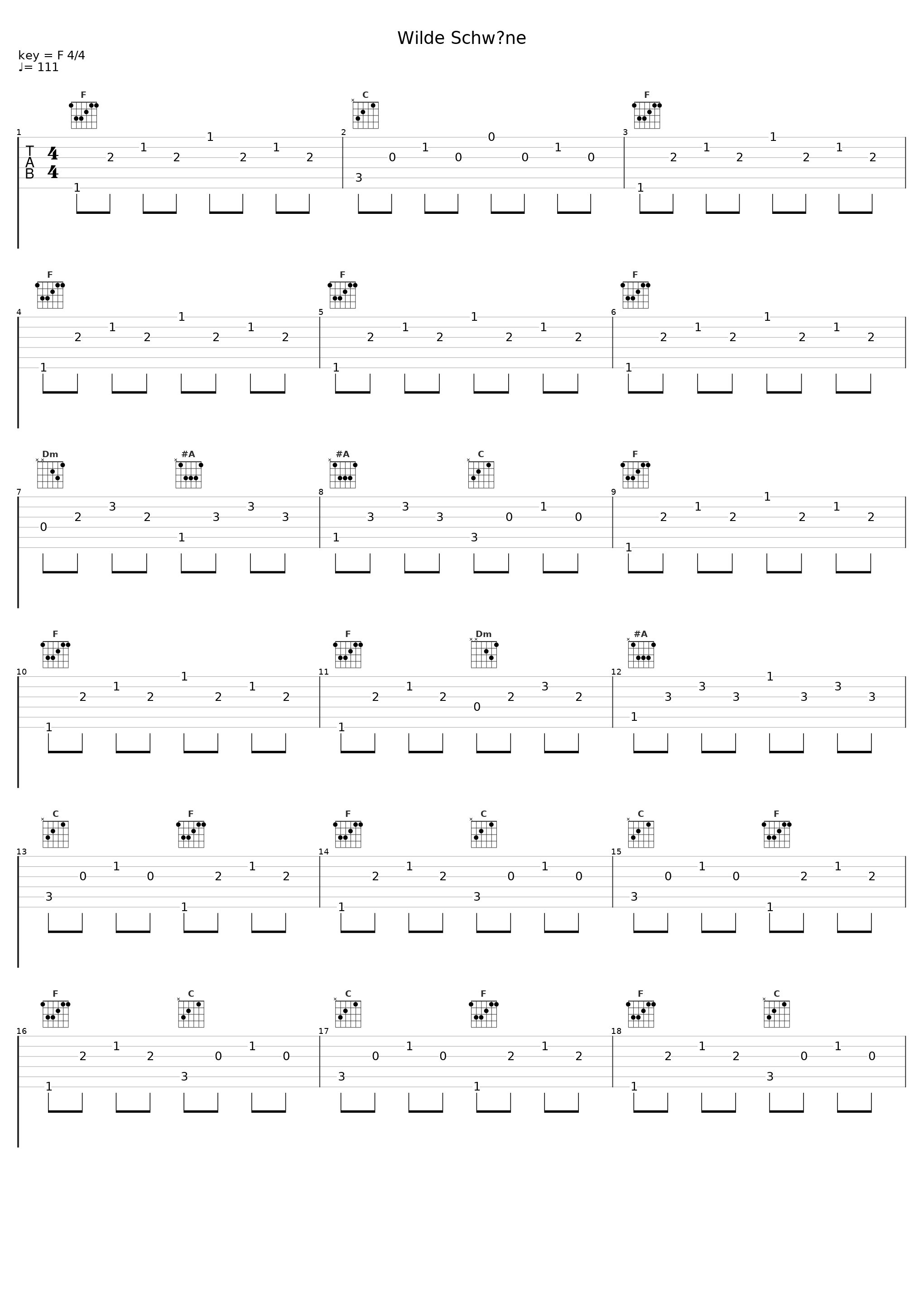 Wilde Schwäne_Hannes Wader_1