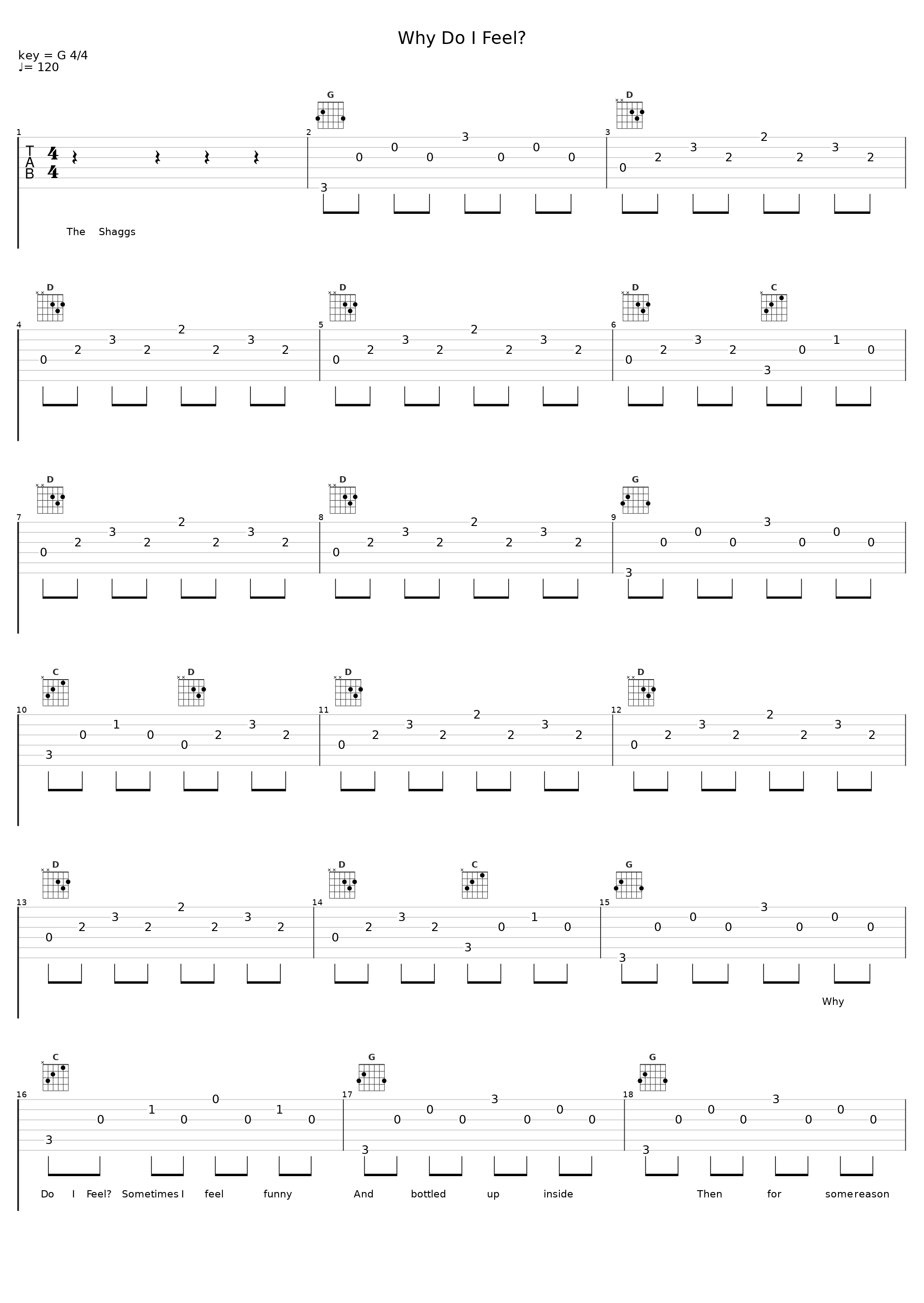 Why Do I Feel?_The Shaggs_1