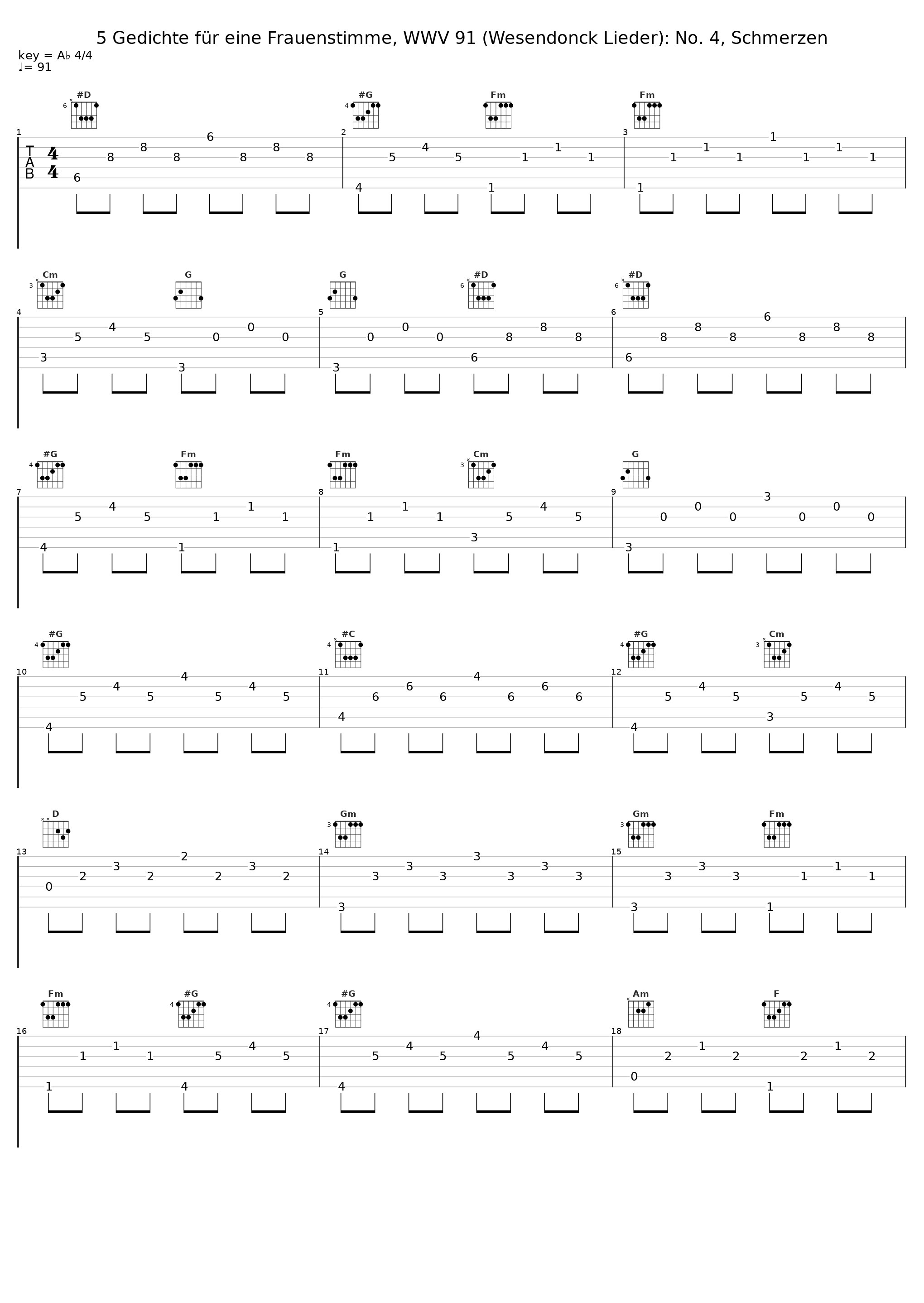 5 Gedichte für eine Frauenstimme, WWV 91 (Wesendonck Lieder): No. 4, Schmerzen_Jenufa Gleich,BBC National Orchestra Of Wales,Fabrice Bollon_1