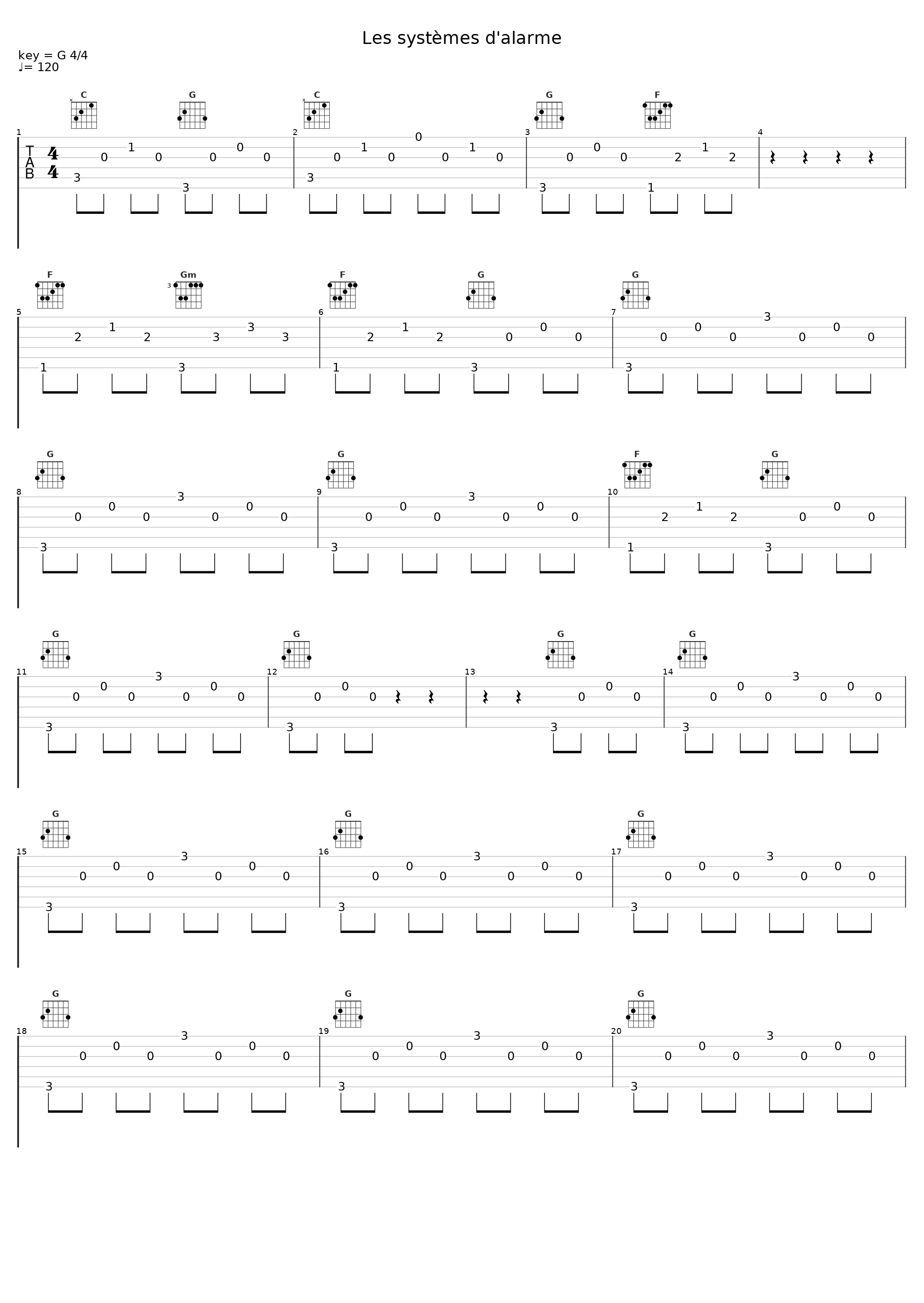 Les systèmes d'alarme_Navet Confit_1