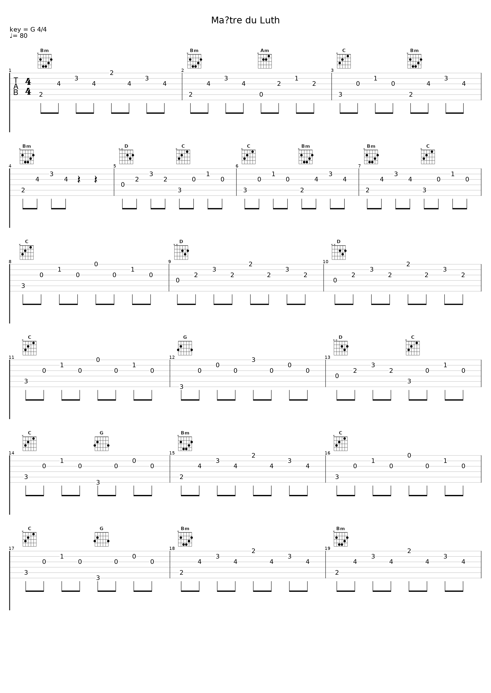 Maître du Luth_Bertrand Belin_1