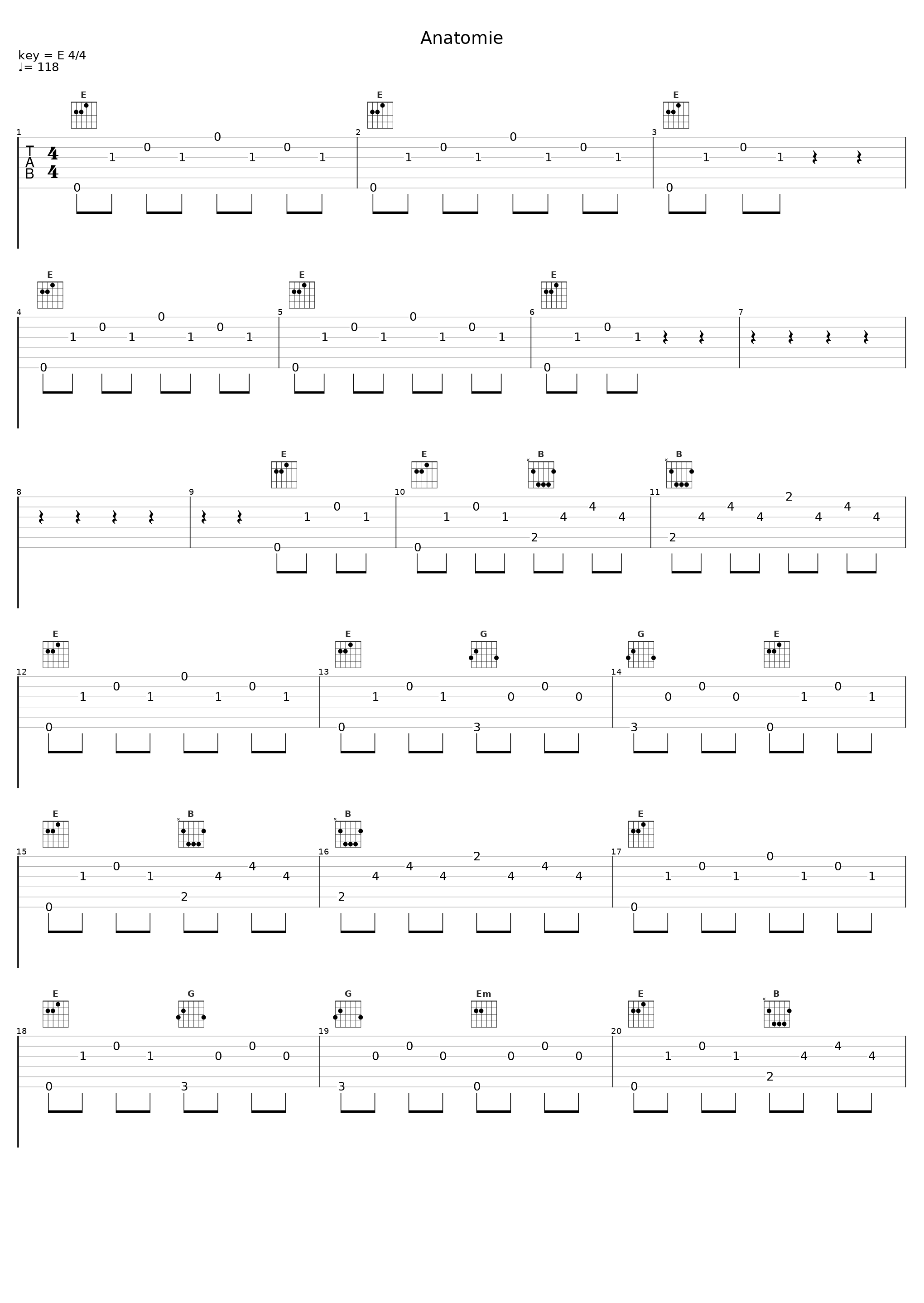 Anatomie_Kante_1