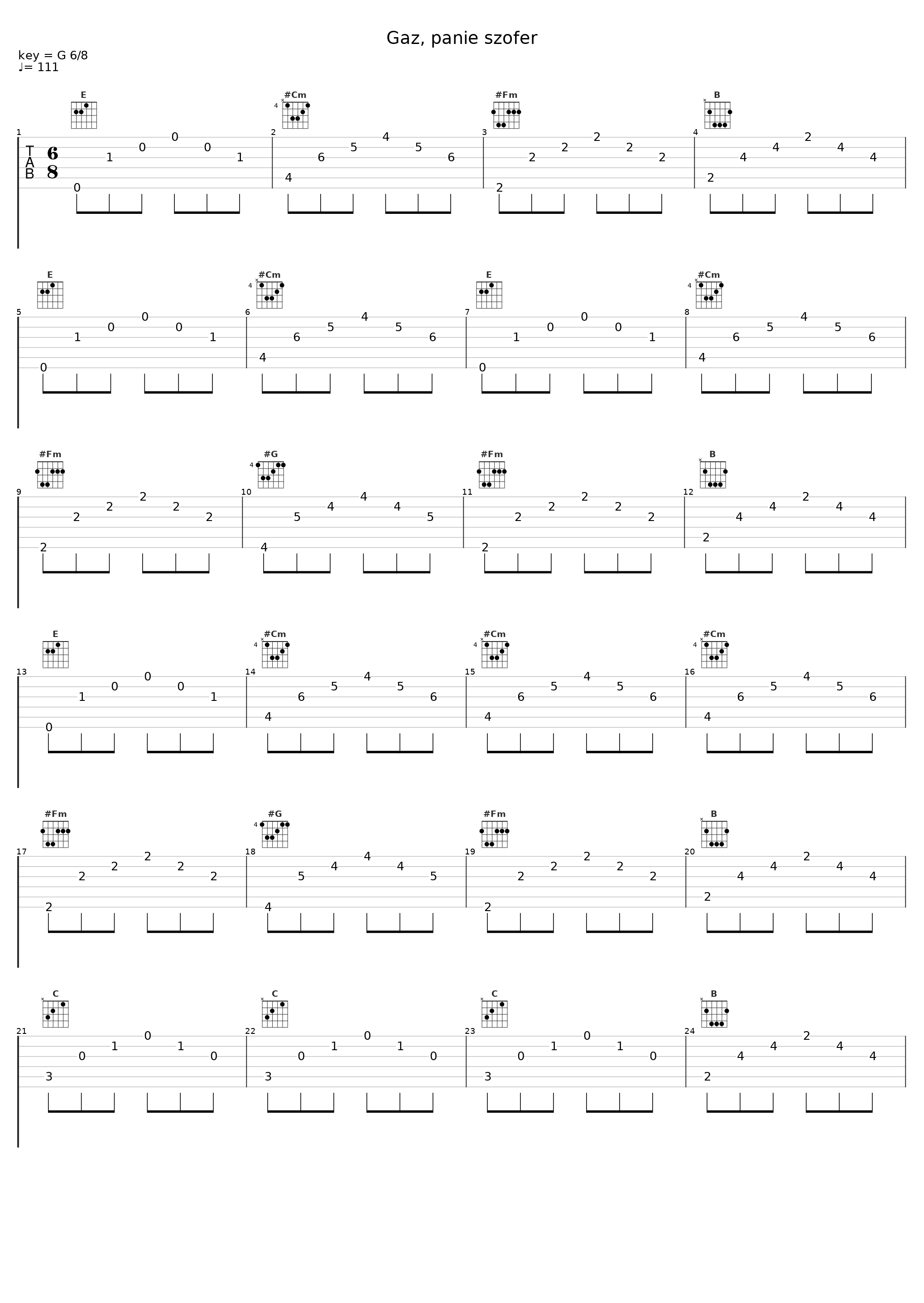 Gaz, panie szofer_Karin Stanek_1