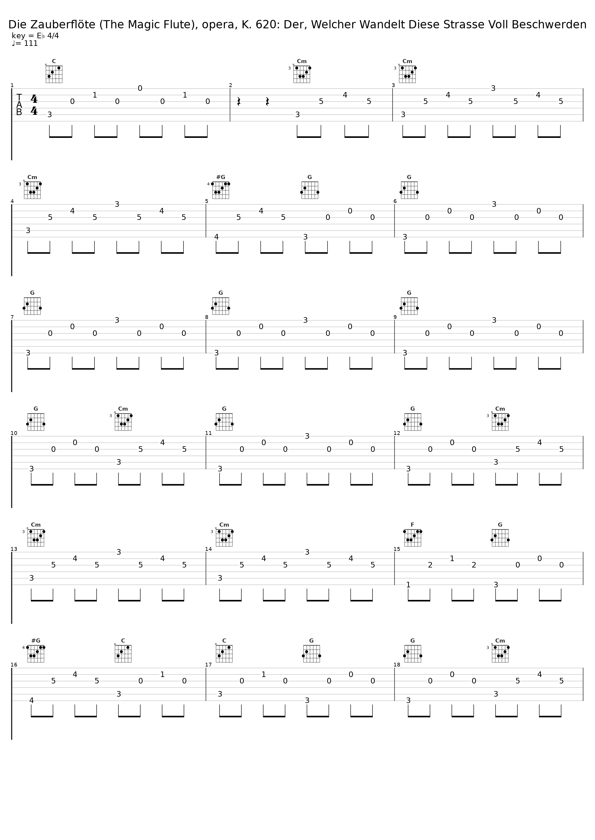 Die Zauberflöte (The Magic Flute), opera, K. 620: Der, Welcher Wandelt Diese Strasse Voll Beschwerden_Leonard Bernstein,Neville Marriner,Karl Böhm_1